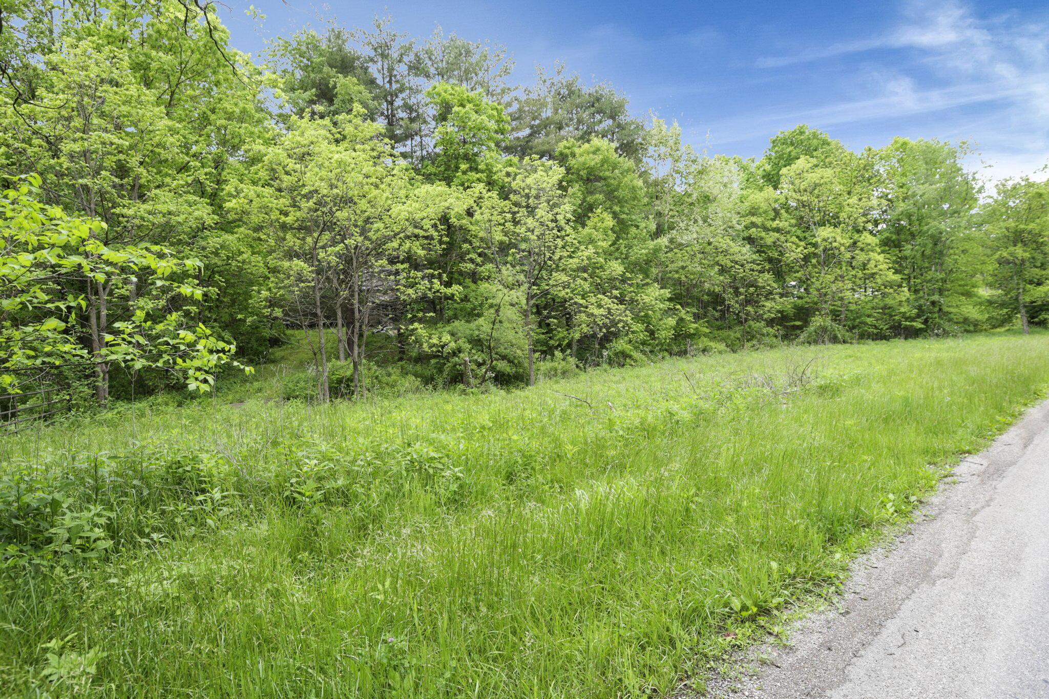 11250 Grass Run Road Property Photo 8