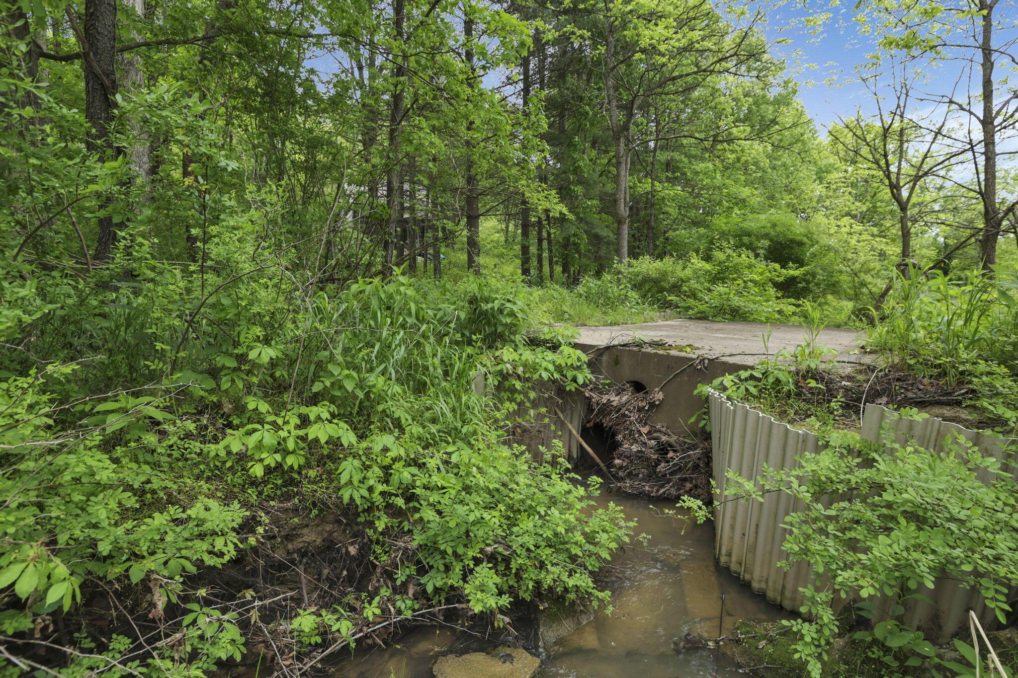 11250 Grass Run Road Property Photo 10