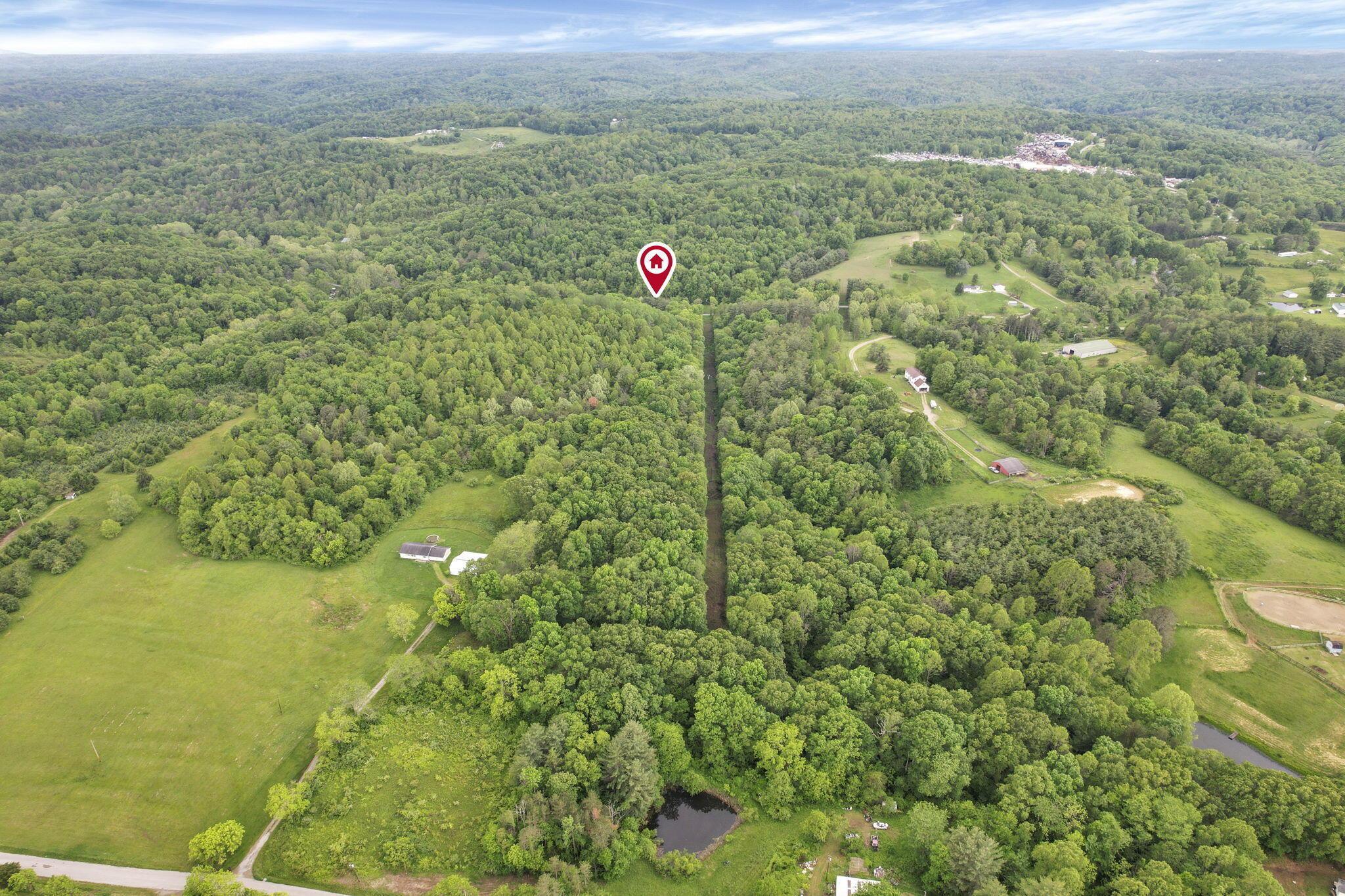 11250 Grass Run Road Property Photo 11