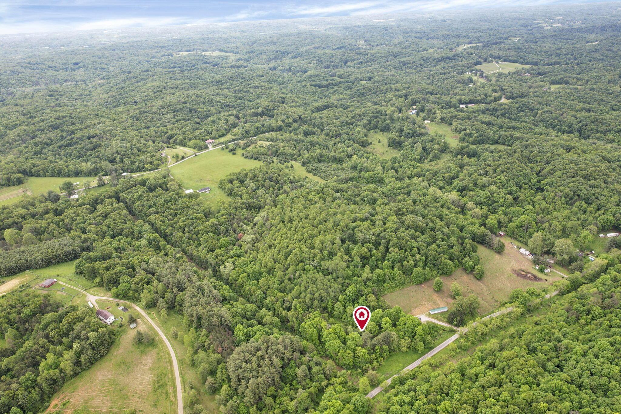 11250 Grass Run Road Property Photo 12