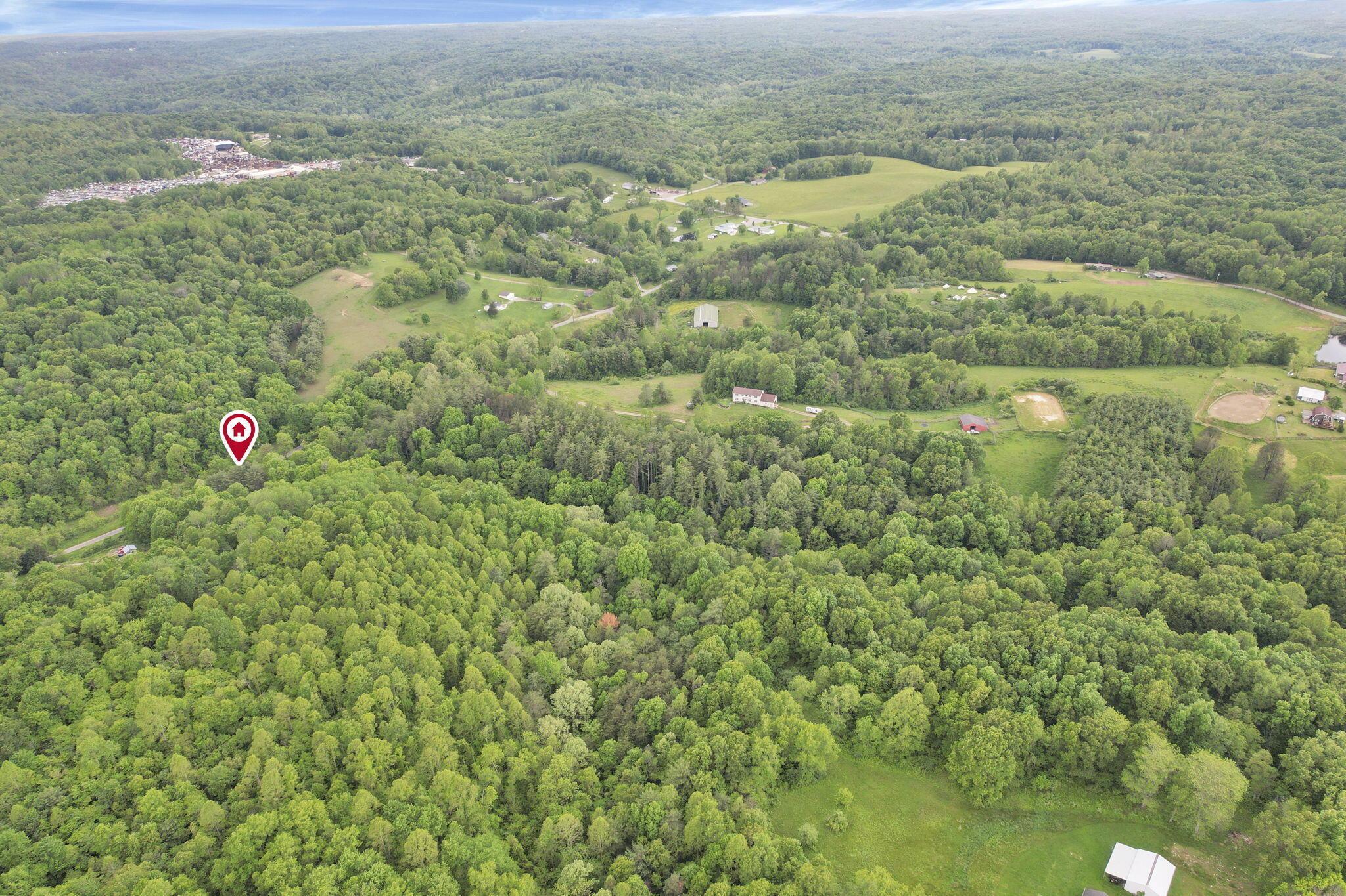11250 Grass Run Road Property Photo 13
