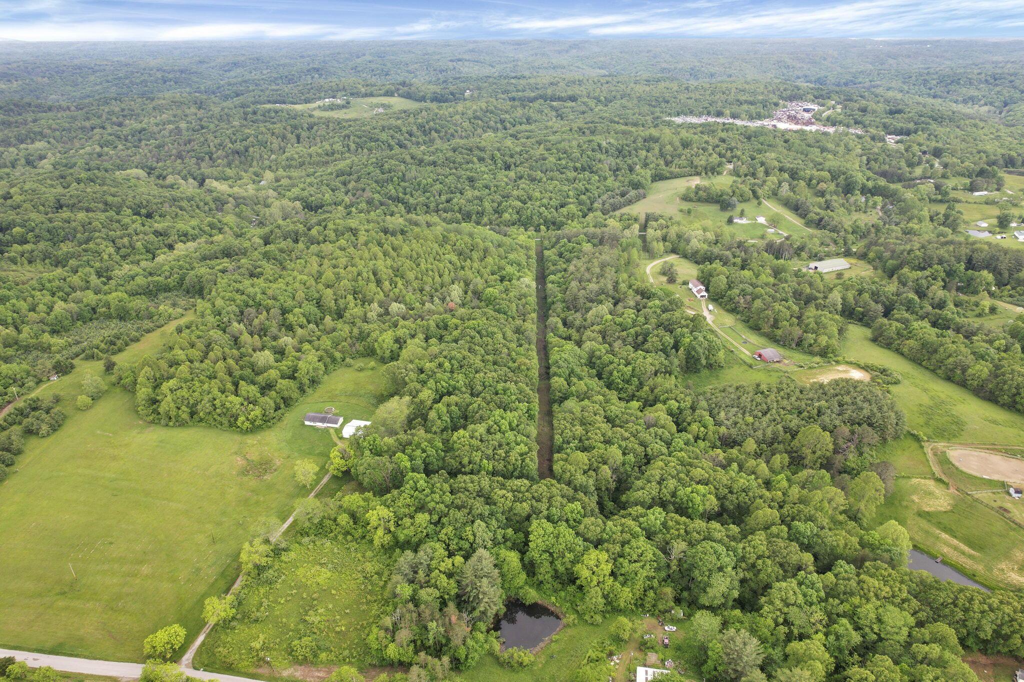 11250 Grass Run Road Property Photo 14