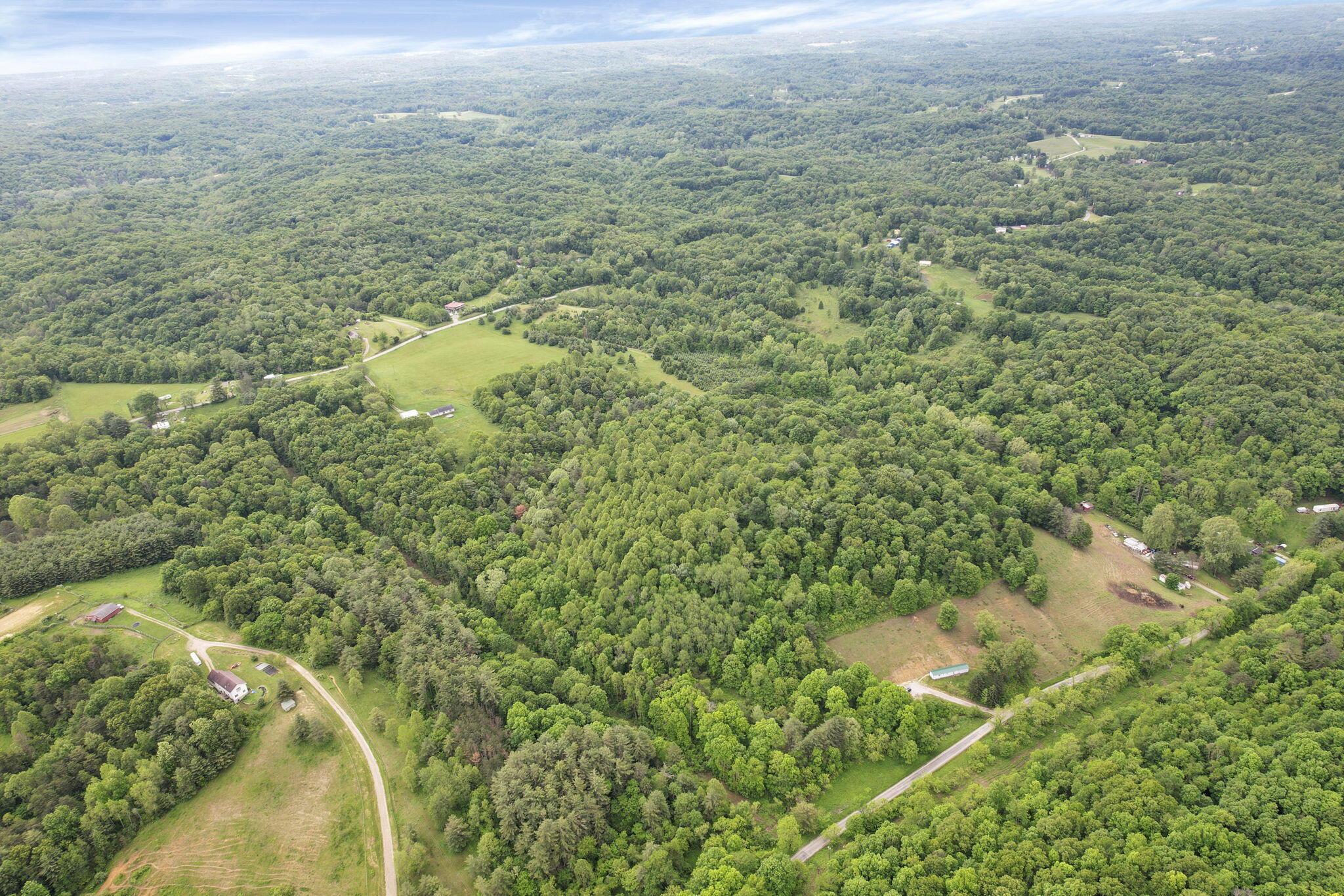 11250 Grass Run Road Property Photo 15
