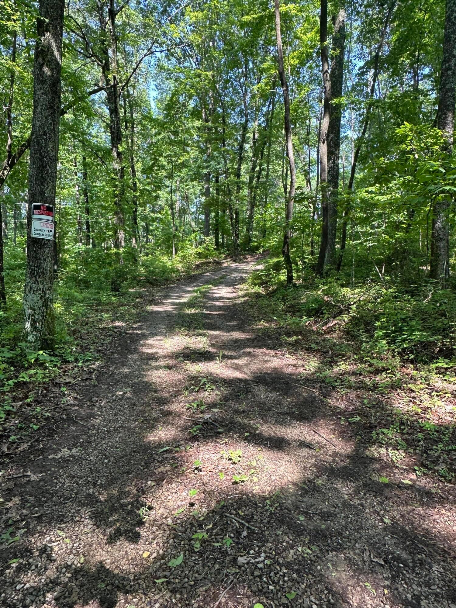 58505 North Branch Road Property Photo 1