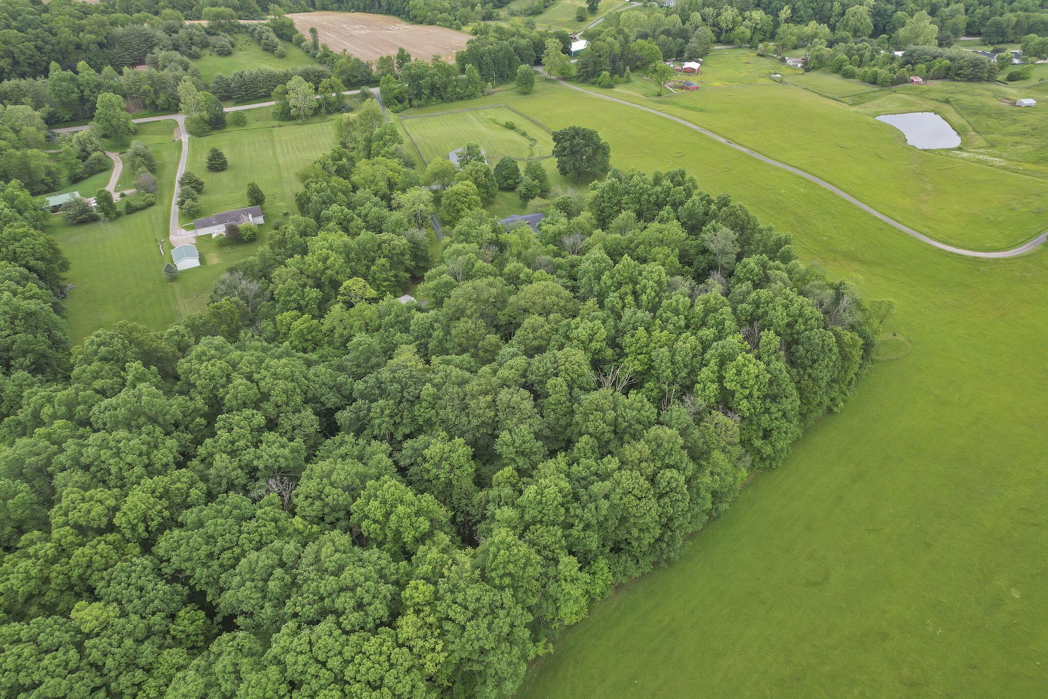4363 Baker Road Property Photo 48