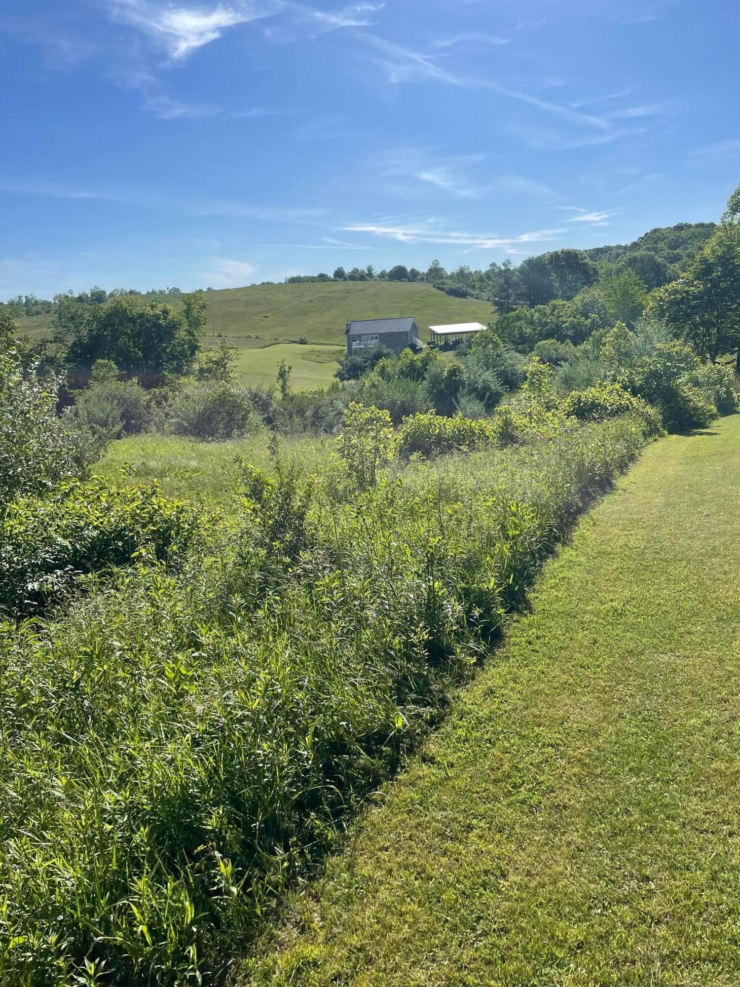 15393 Shade Road Property Photo 29