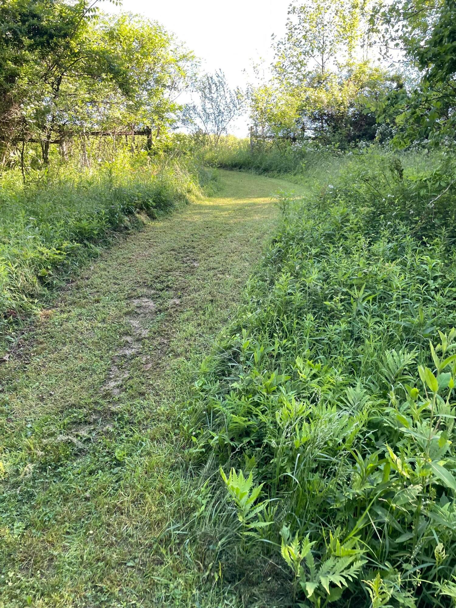 15393 Shade Road Property Photo 31