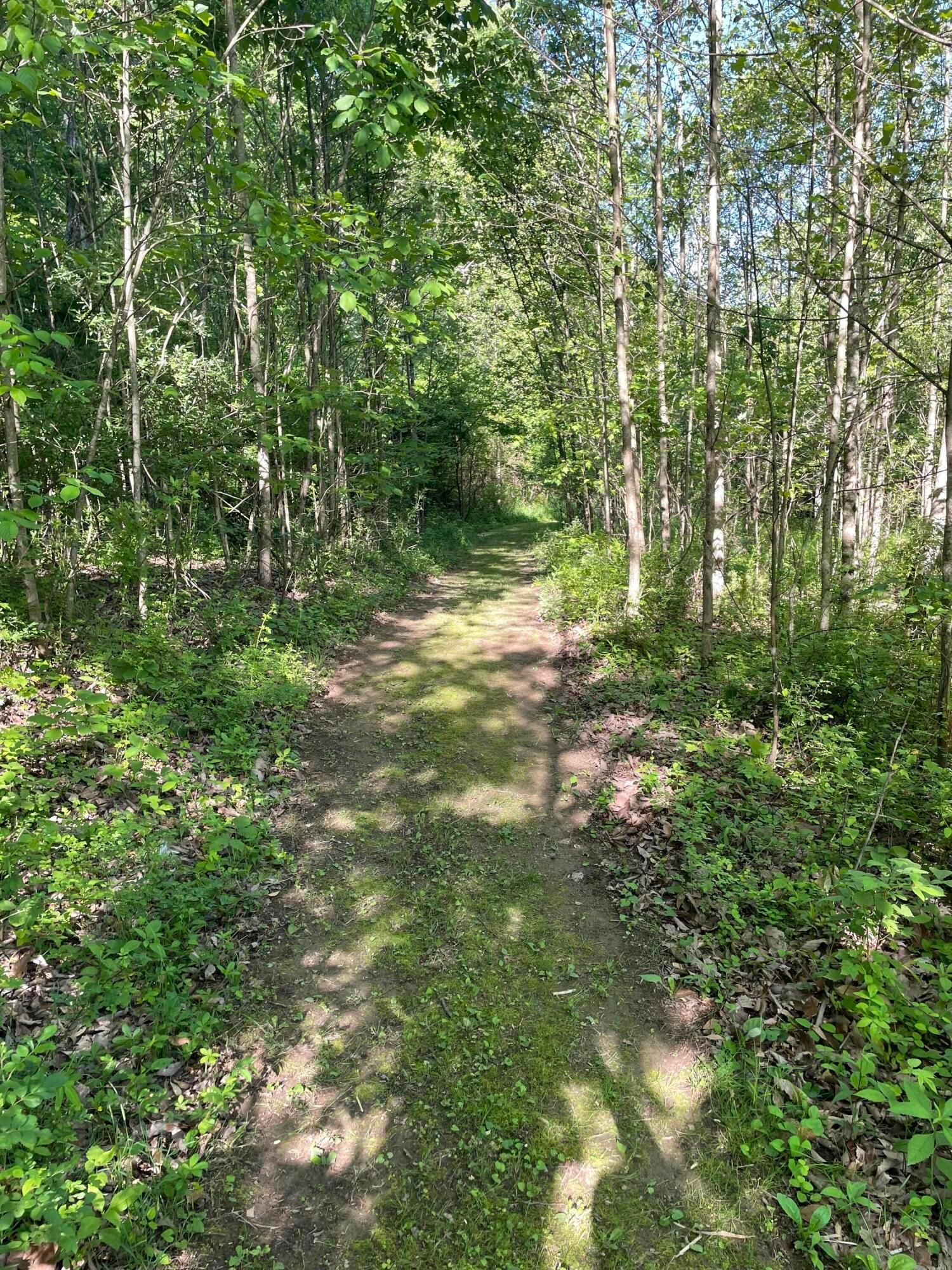 15393 Shade Road Property Photo 33