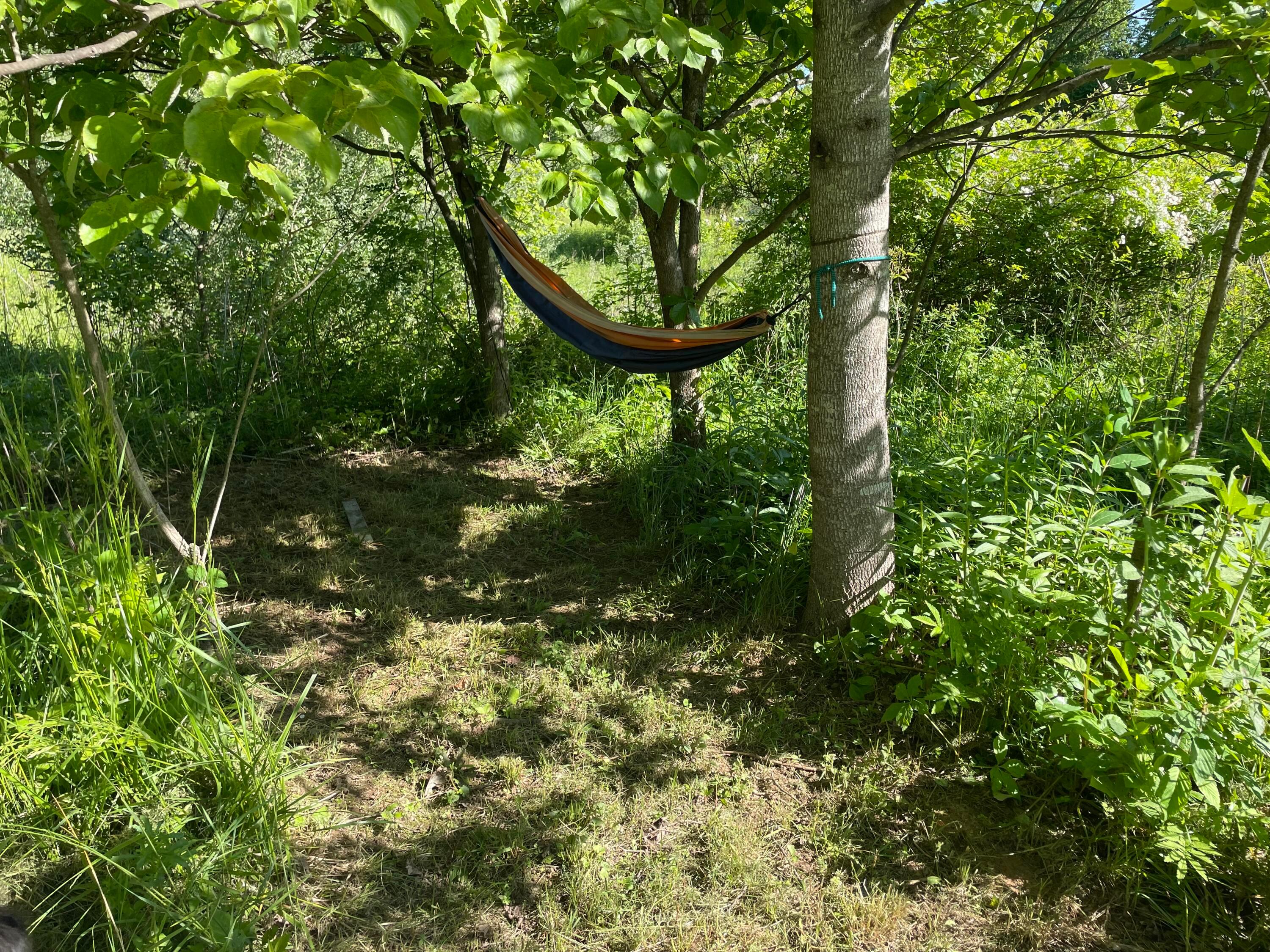 15393 Shade Road Property Photo 34