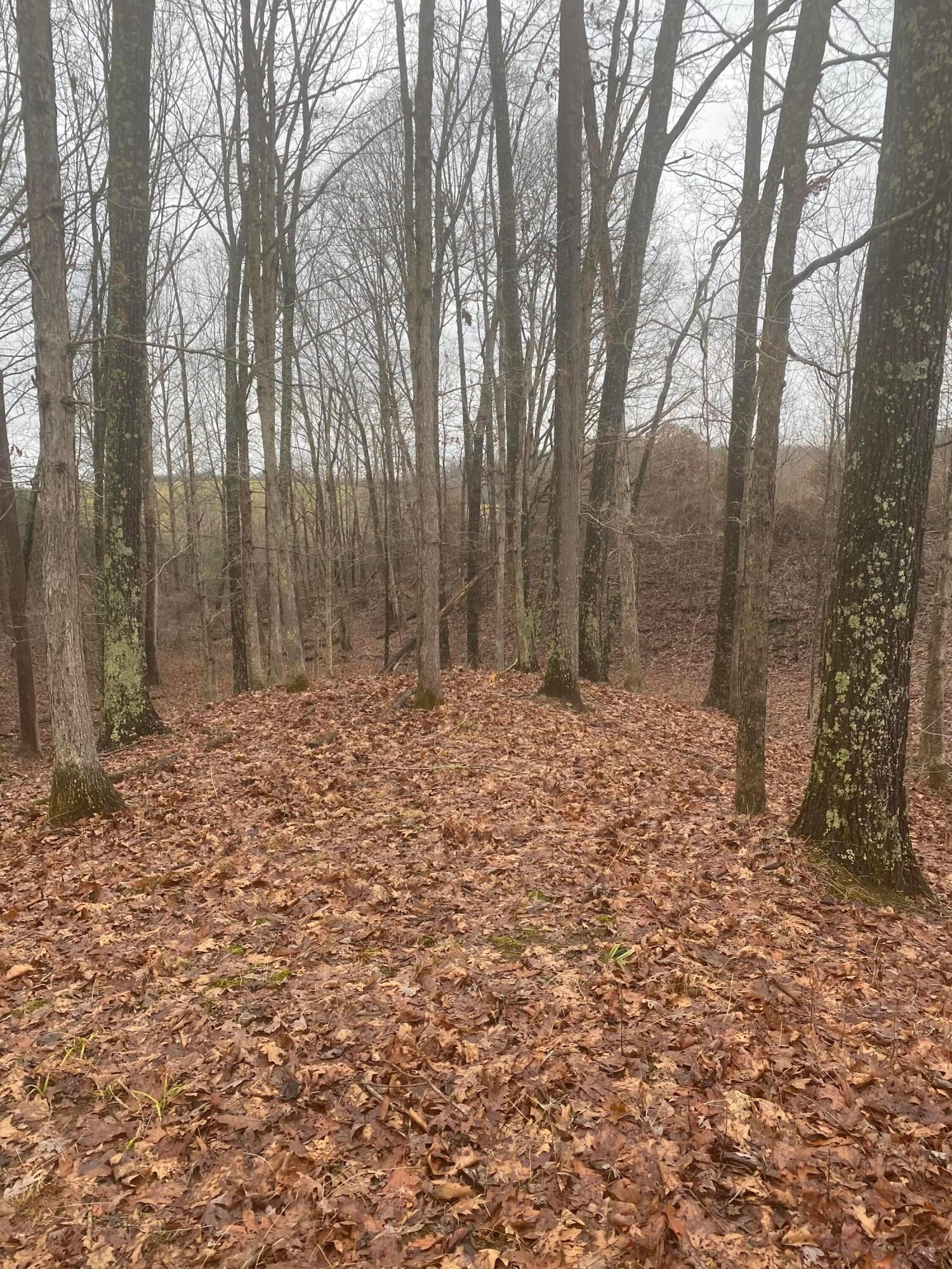 15393 Shade Road Property Photo 43