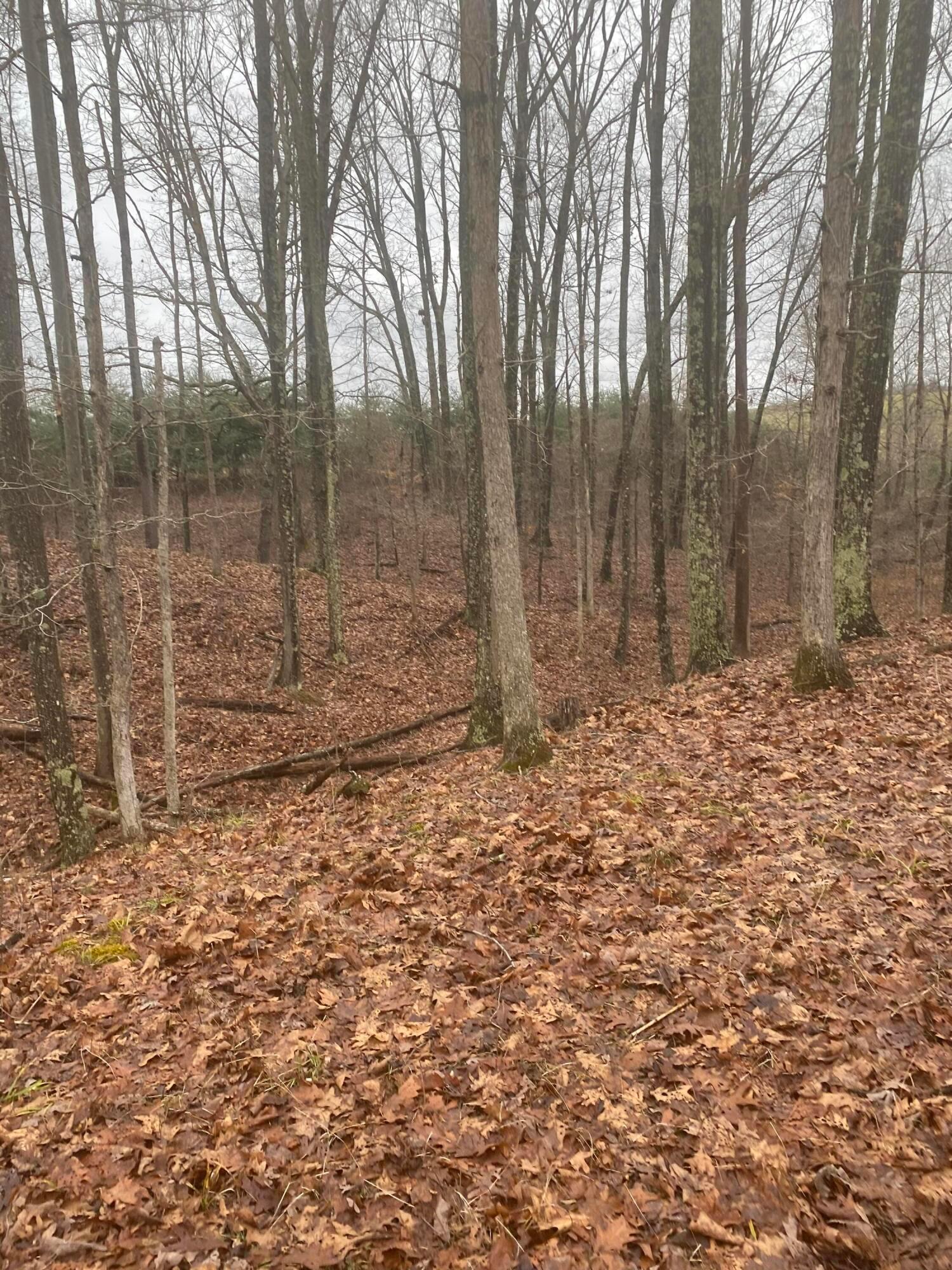 15393 Shade Road Property Photo 44