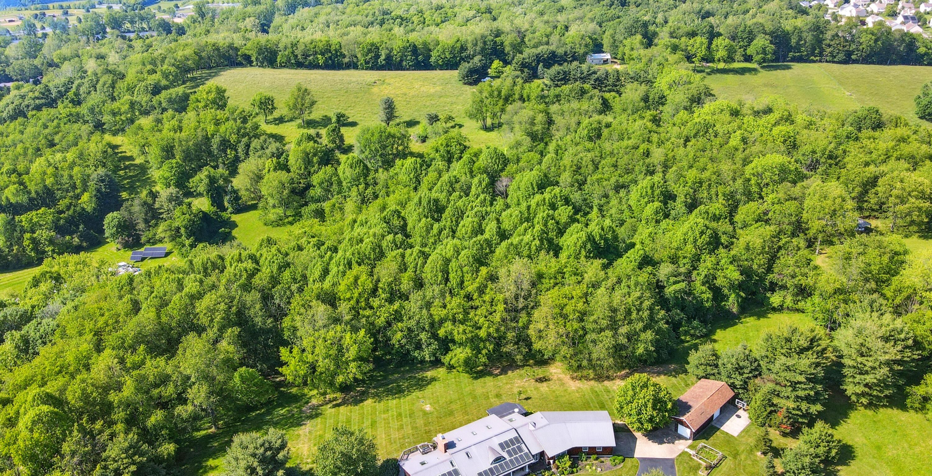 1801 River Road Property Photo 6