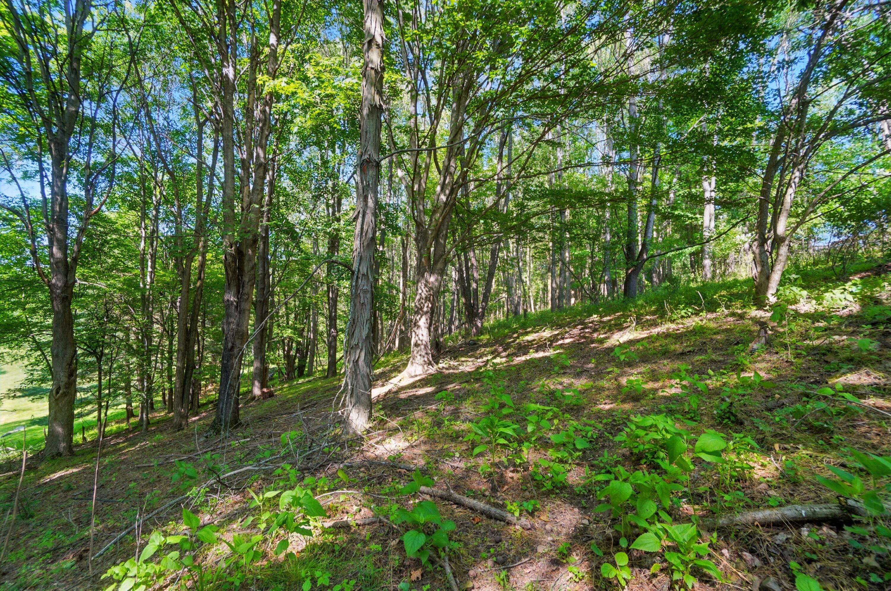 1801 River Road Property Photo 12