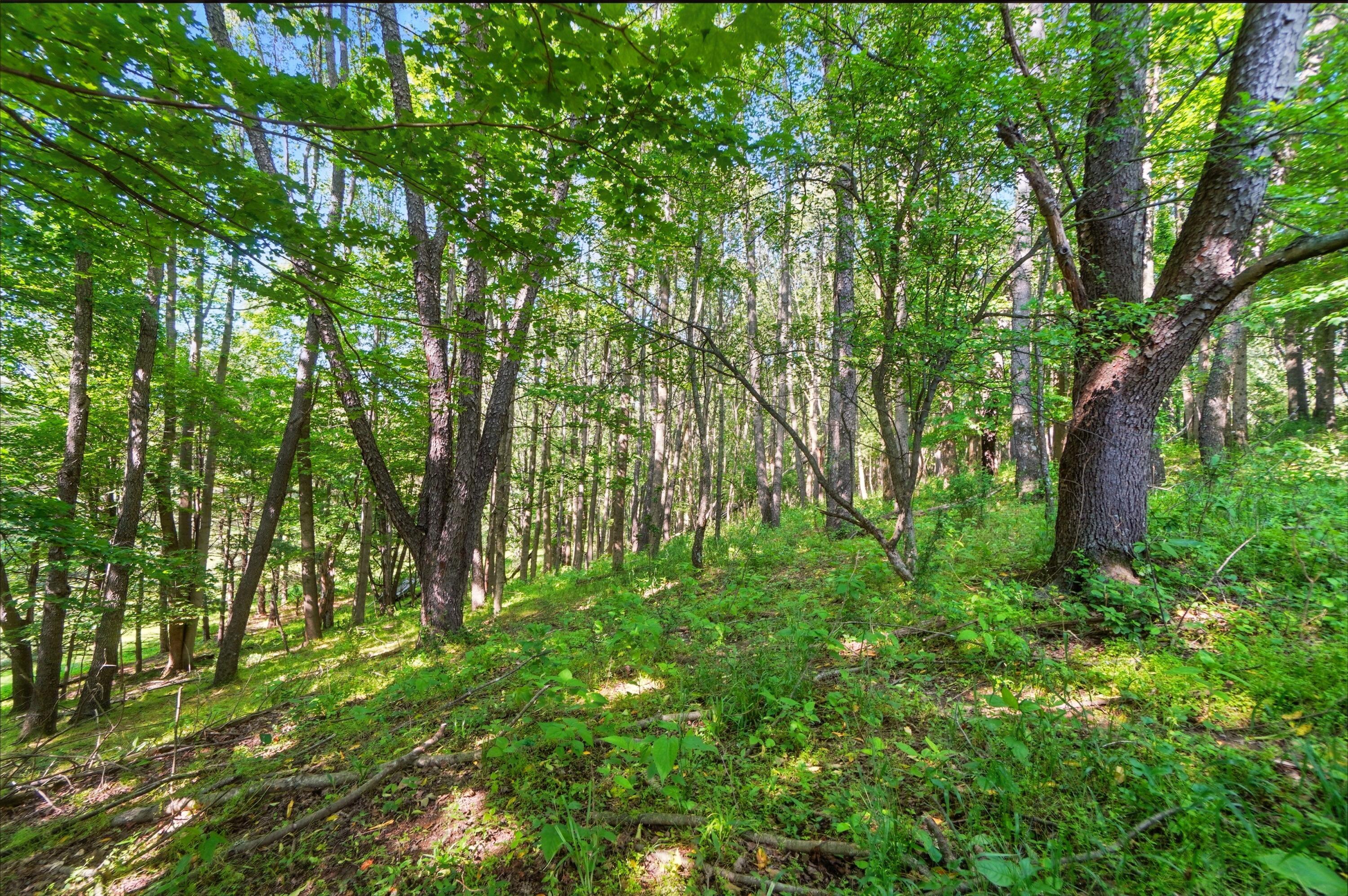 1801 River Road Property Photo 13