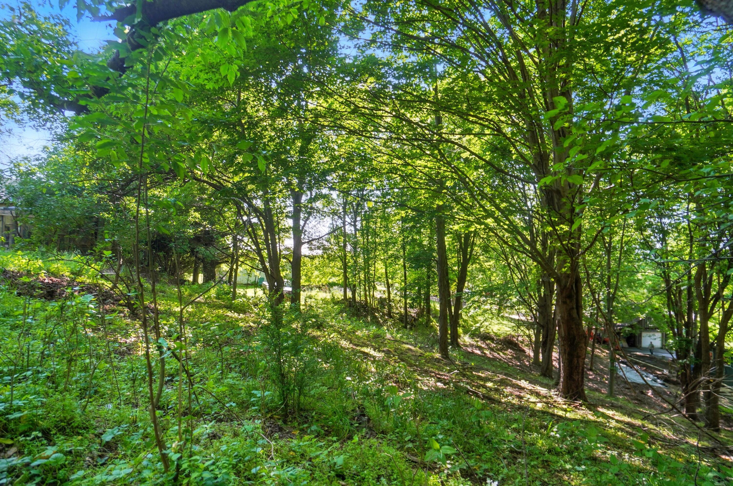 1801 River Road Property Photo 14