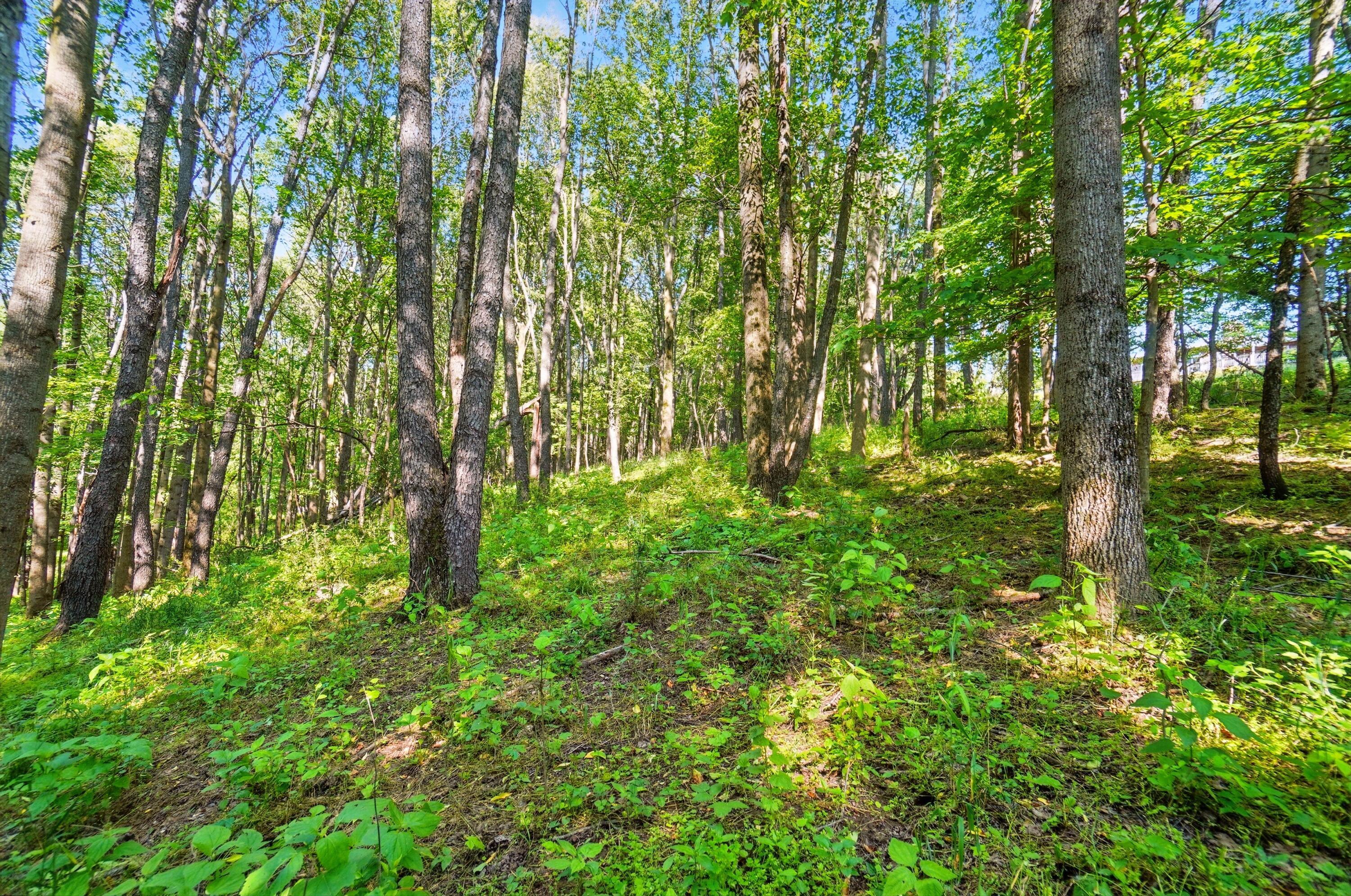 1801 River Road Property Photo 15