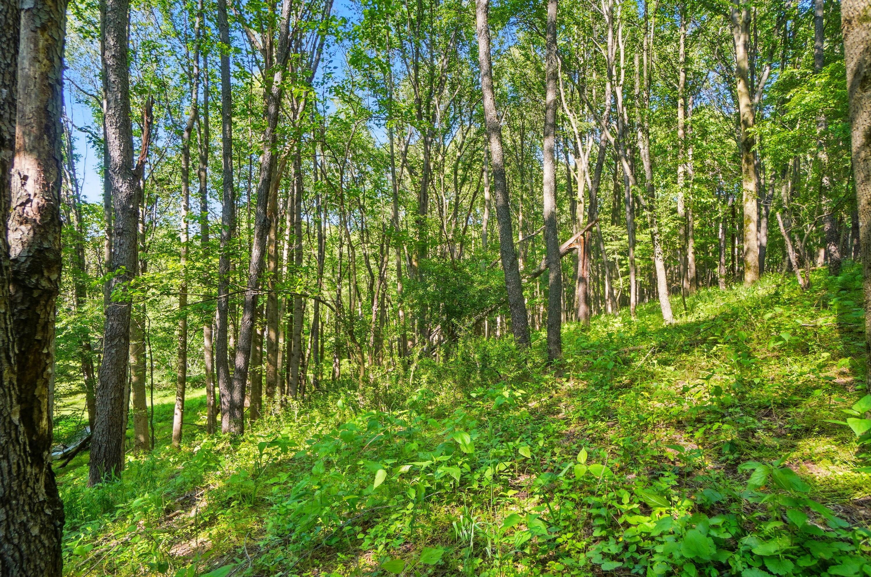 1801 River Road Property Photo 16