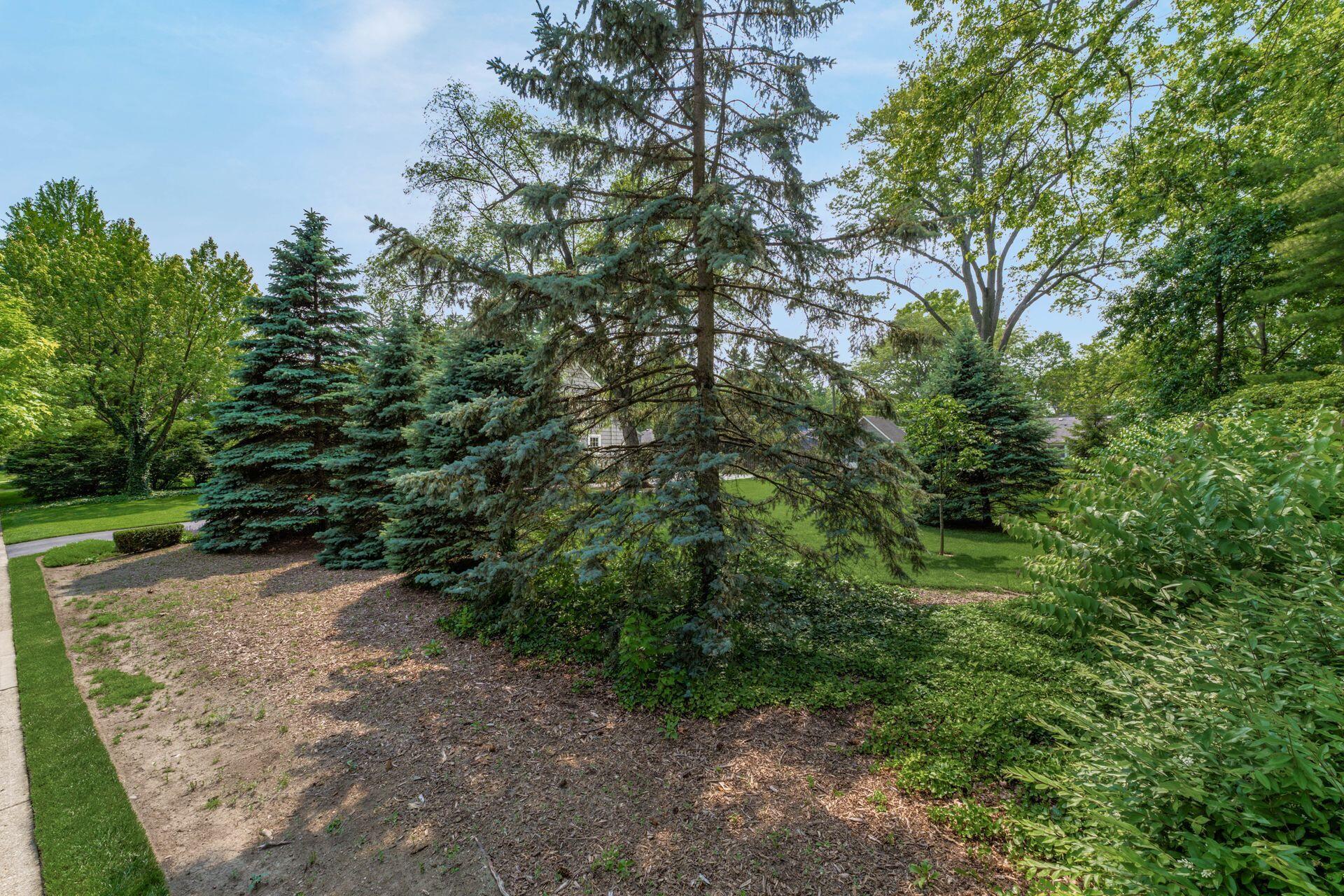 0 Northview Drive Property Photo