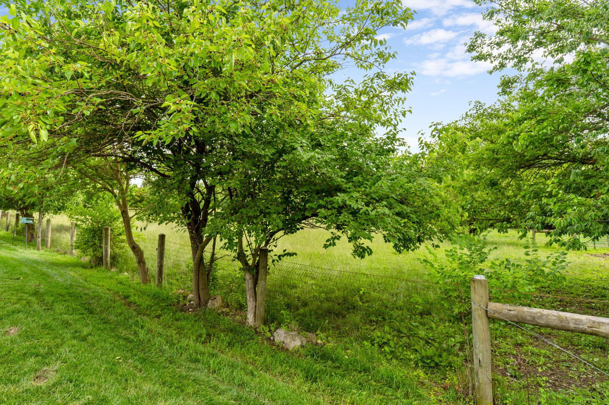 3736 Sanctuary Property Photo 48