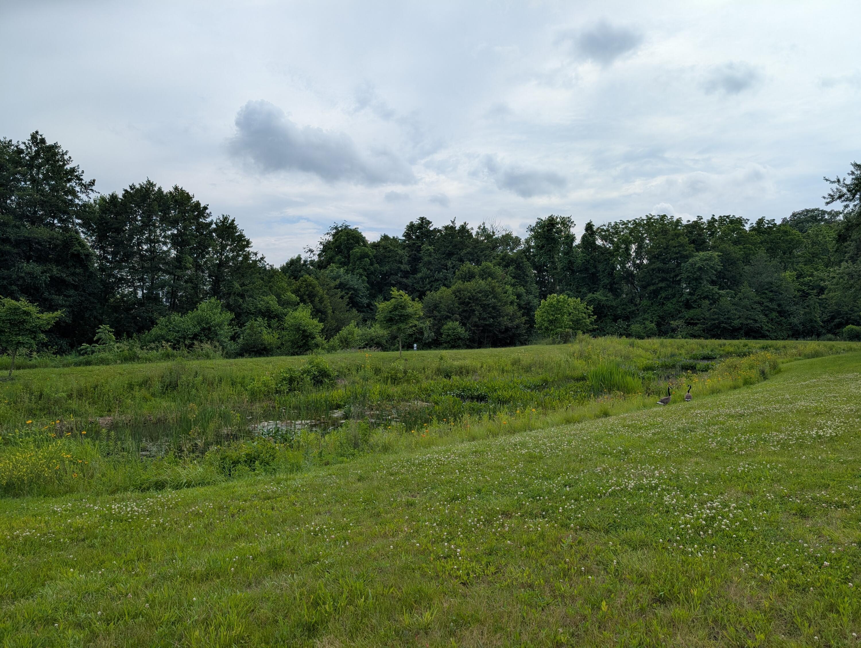3015 Green Line Way Property Photo 3