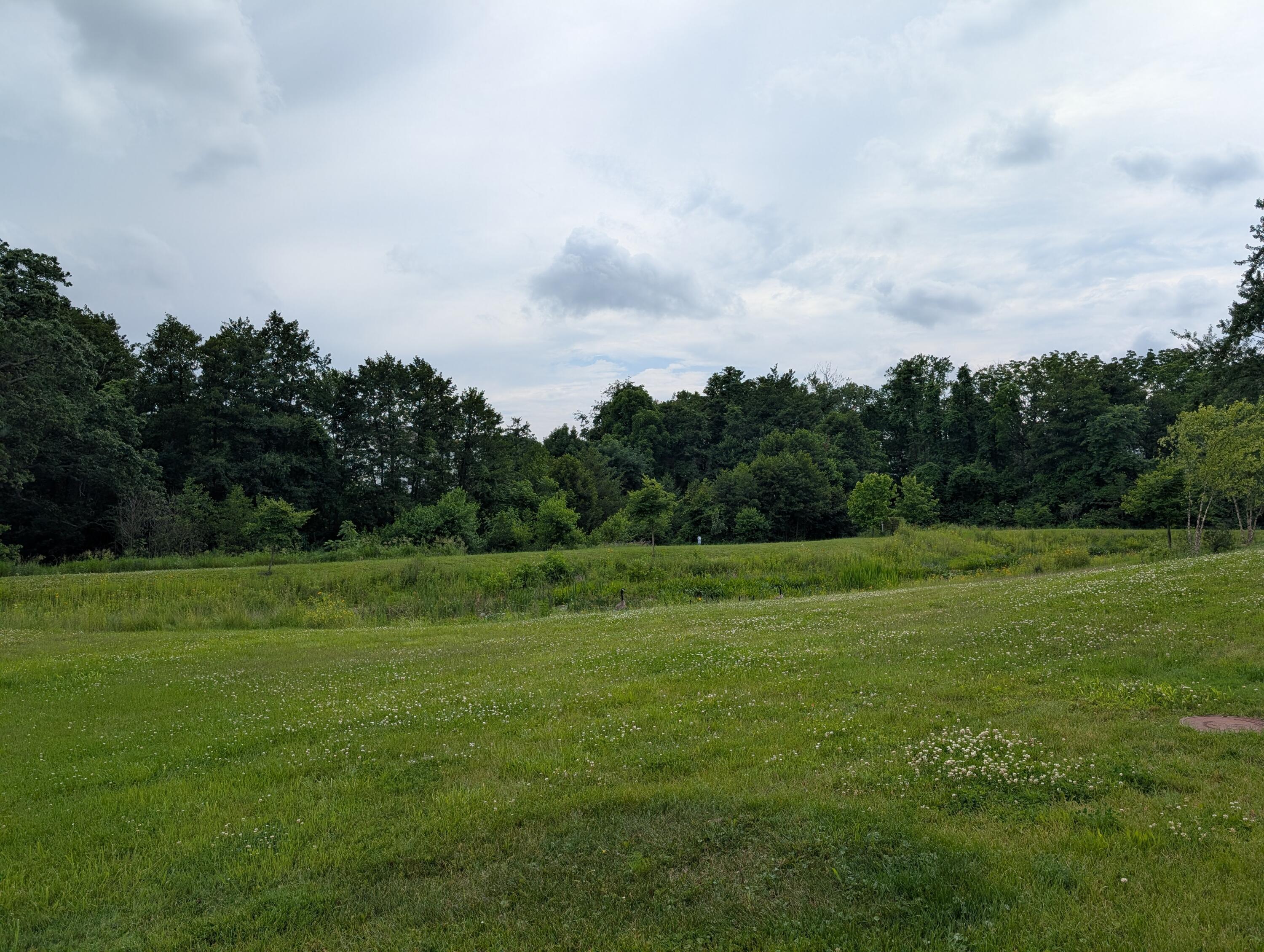 3015 Green Line Way Property Photo 39