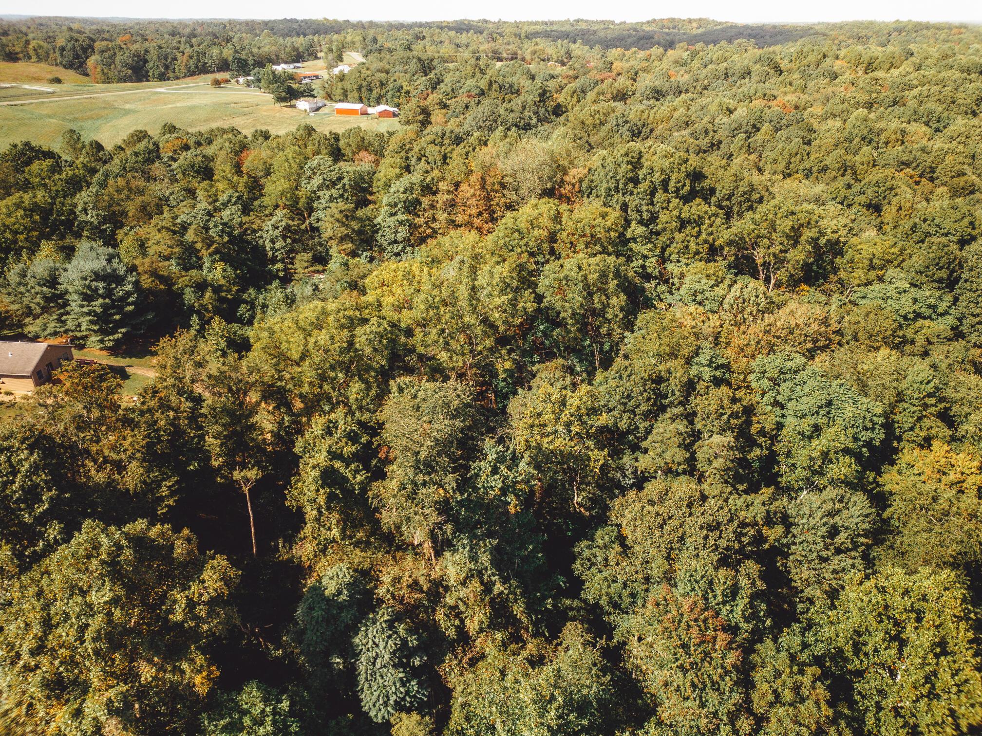 16360 Kreashbaum Road Property Photo 6