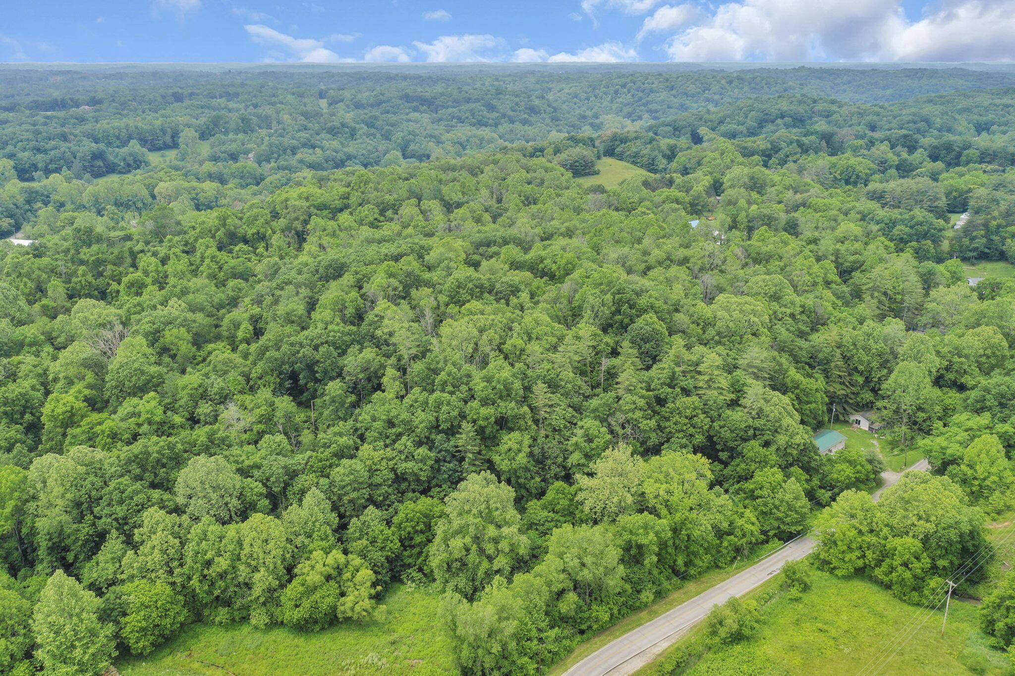 8175 Vore Ridge Road Property Photo 64