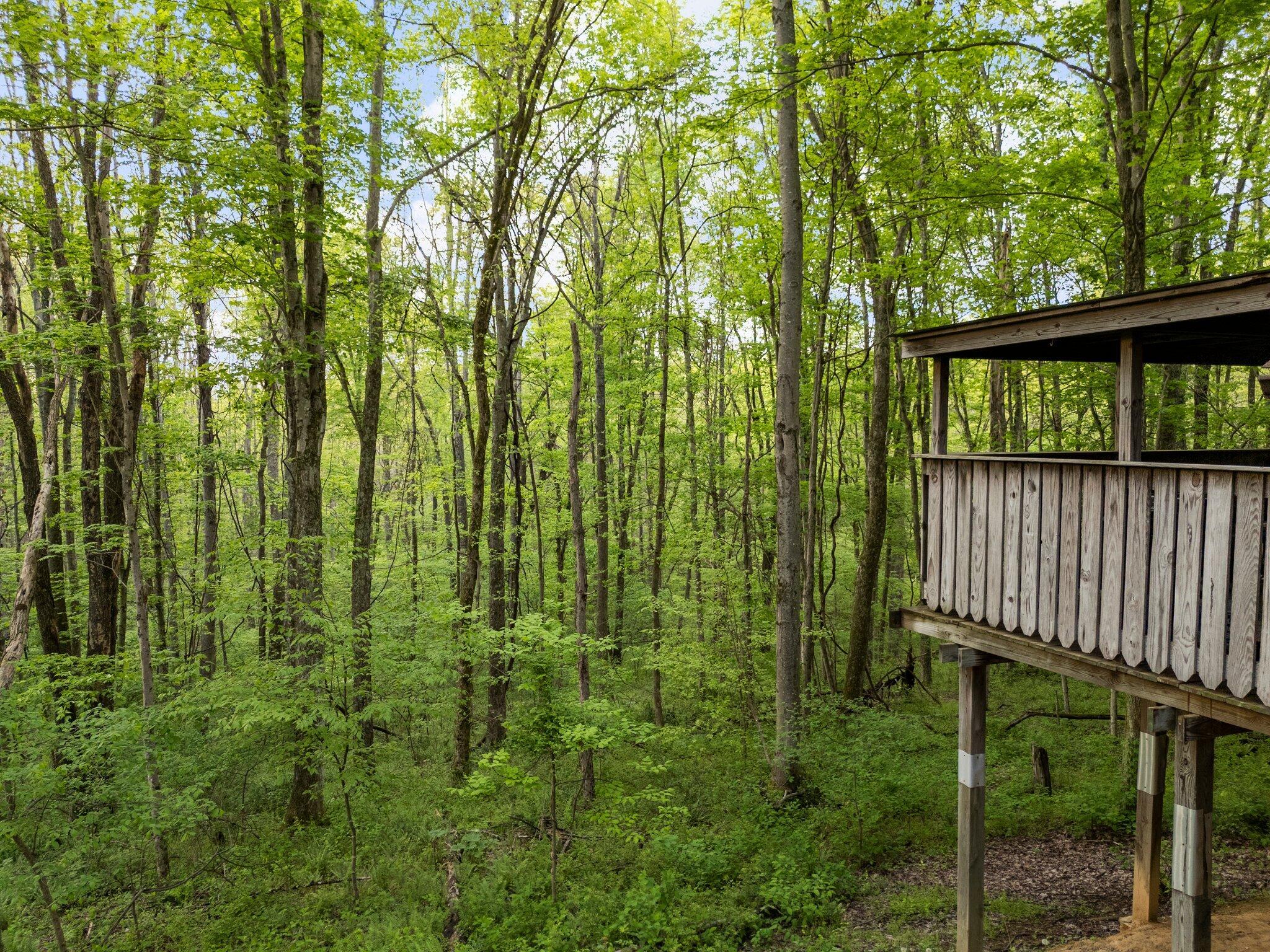 26975 Chapel Ridge Road Property Photo 58