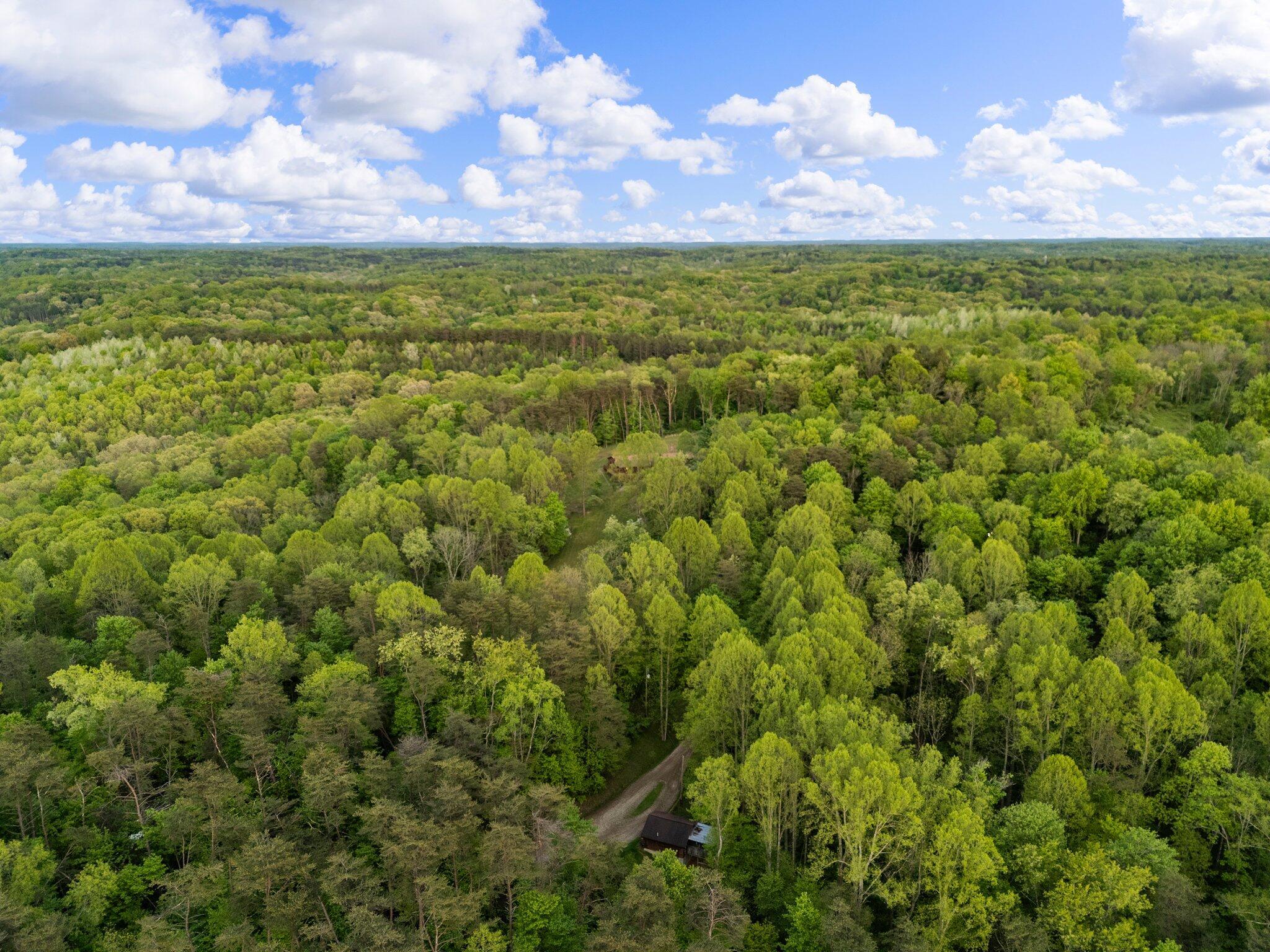 26975 Chapel Ridge Road Property Photo 98