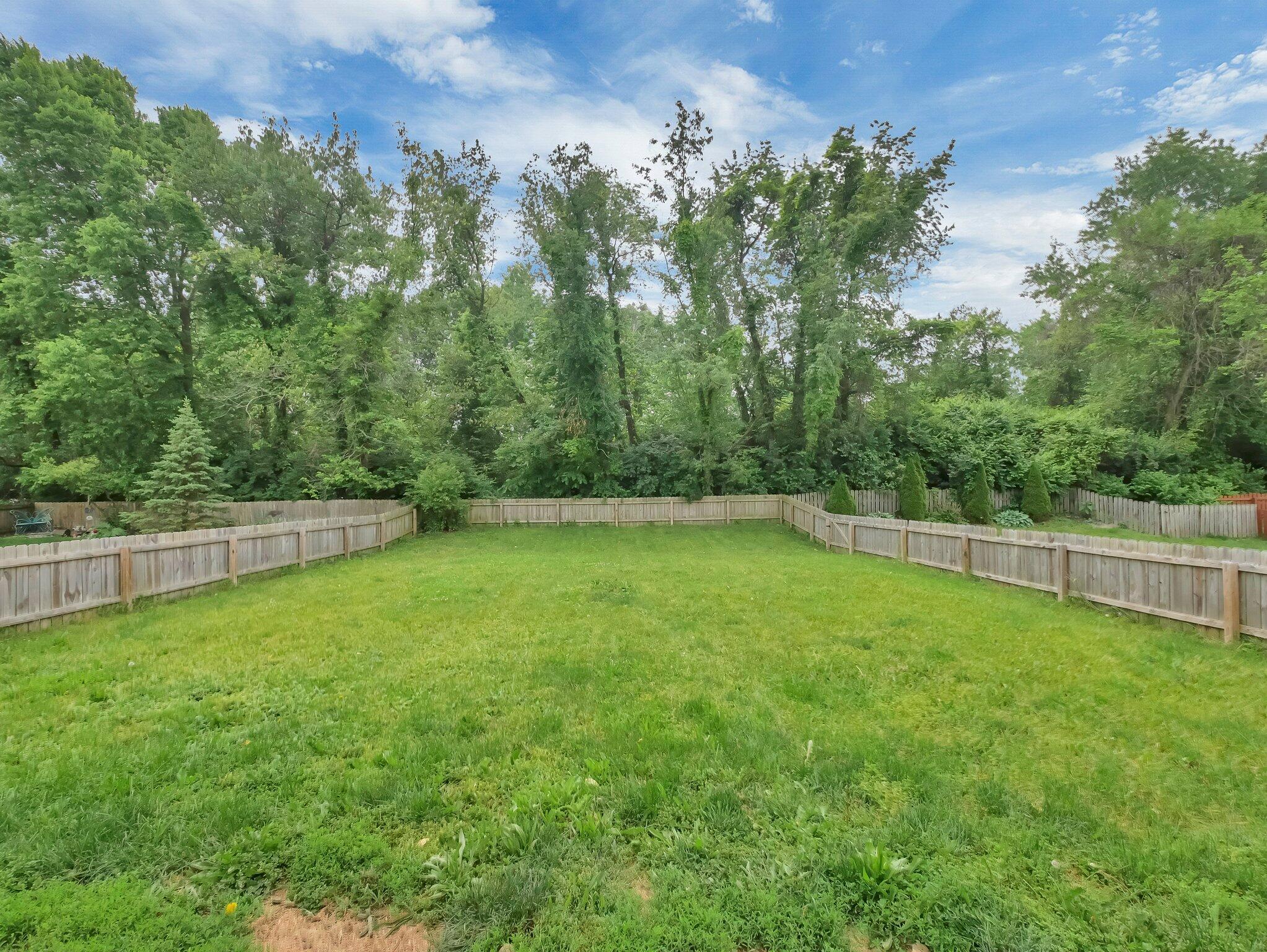 8547 Haleigh Woods Drive Property Photo 22
