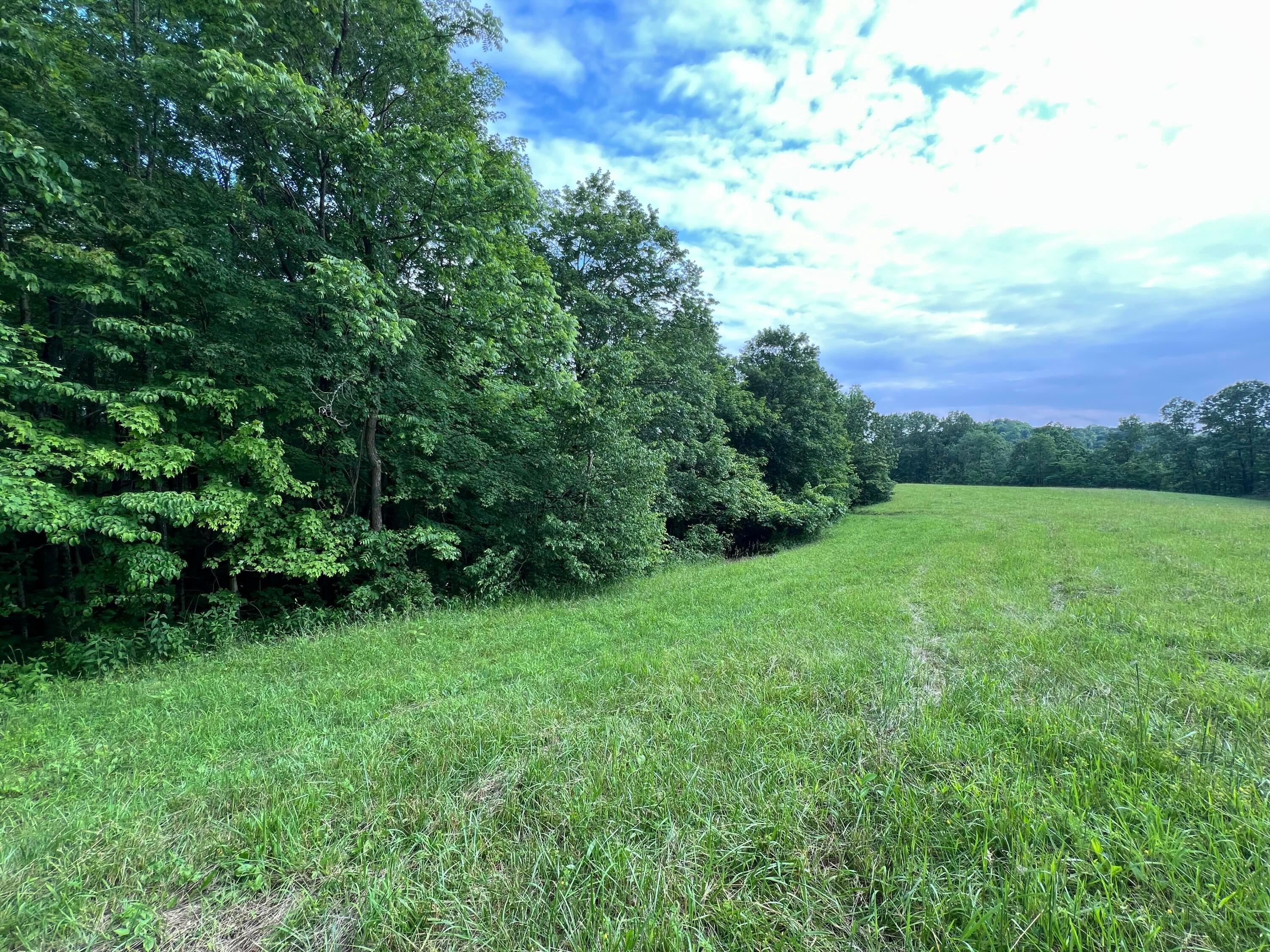 1565 Back Run Road Property Photo 1