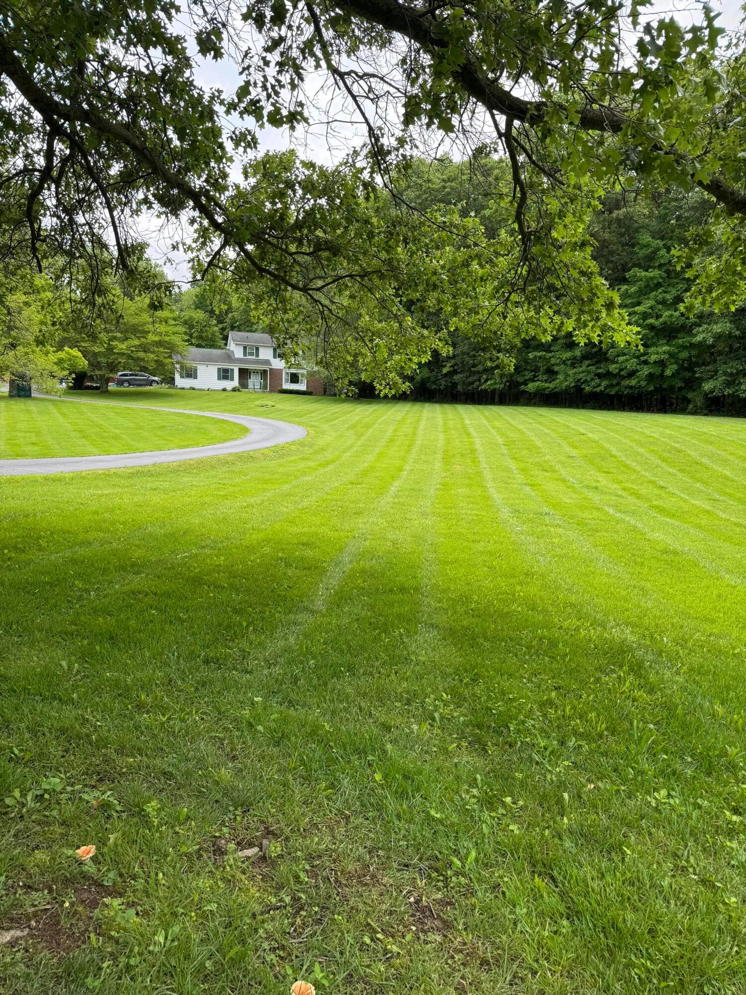 13859 Robinson Road Property Photo