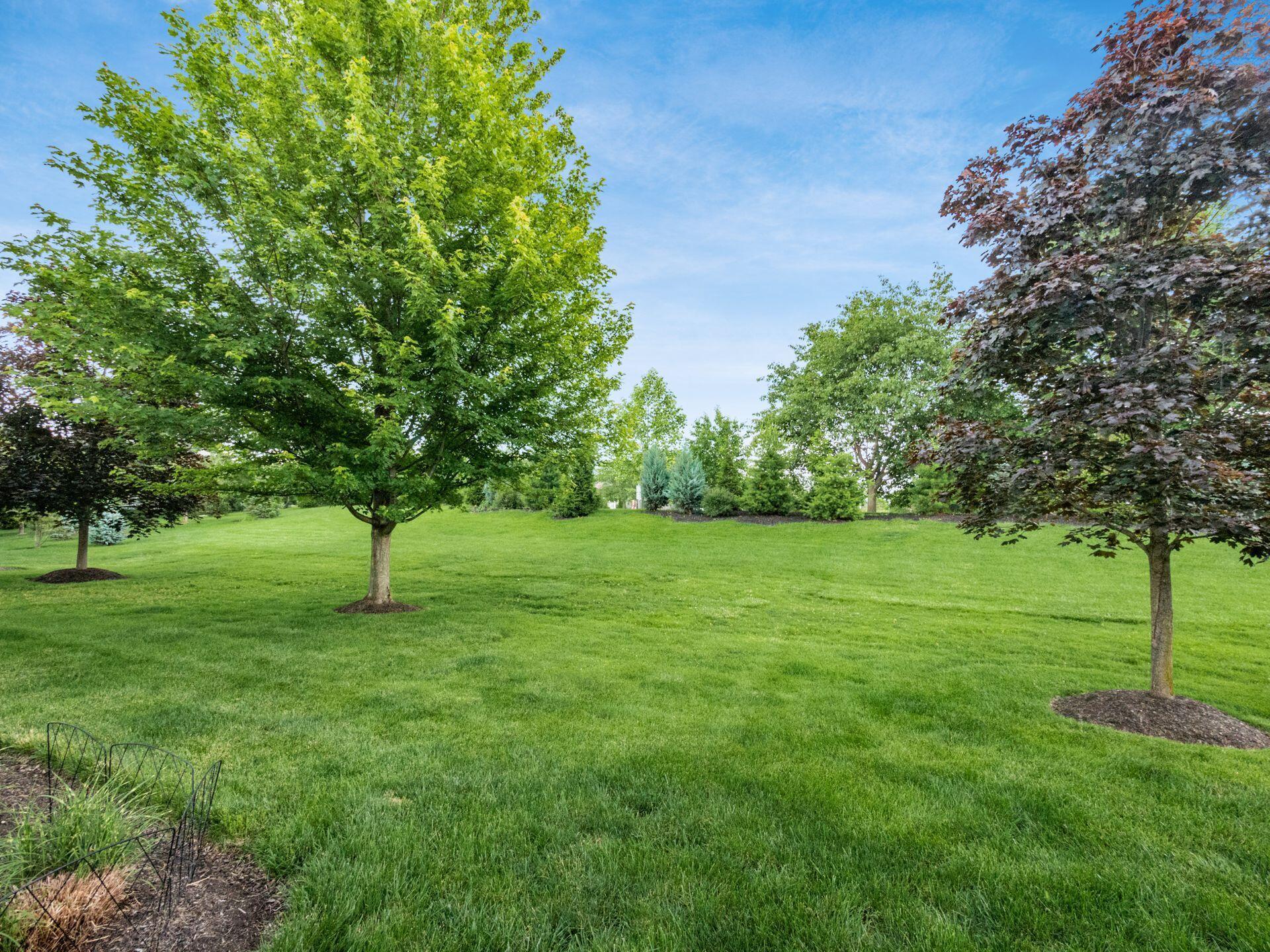 5788 Baronscourt Way Property Photo 70