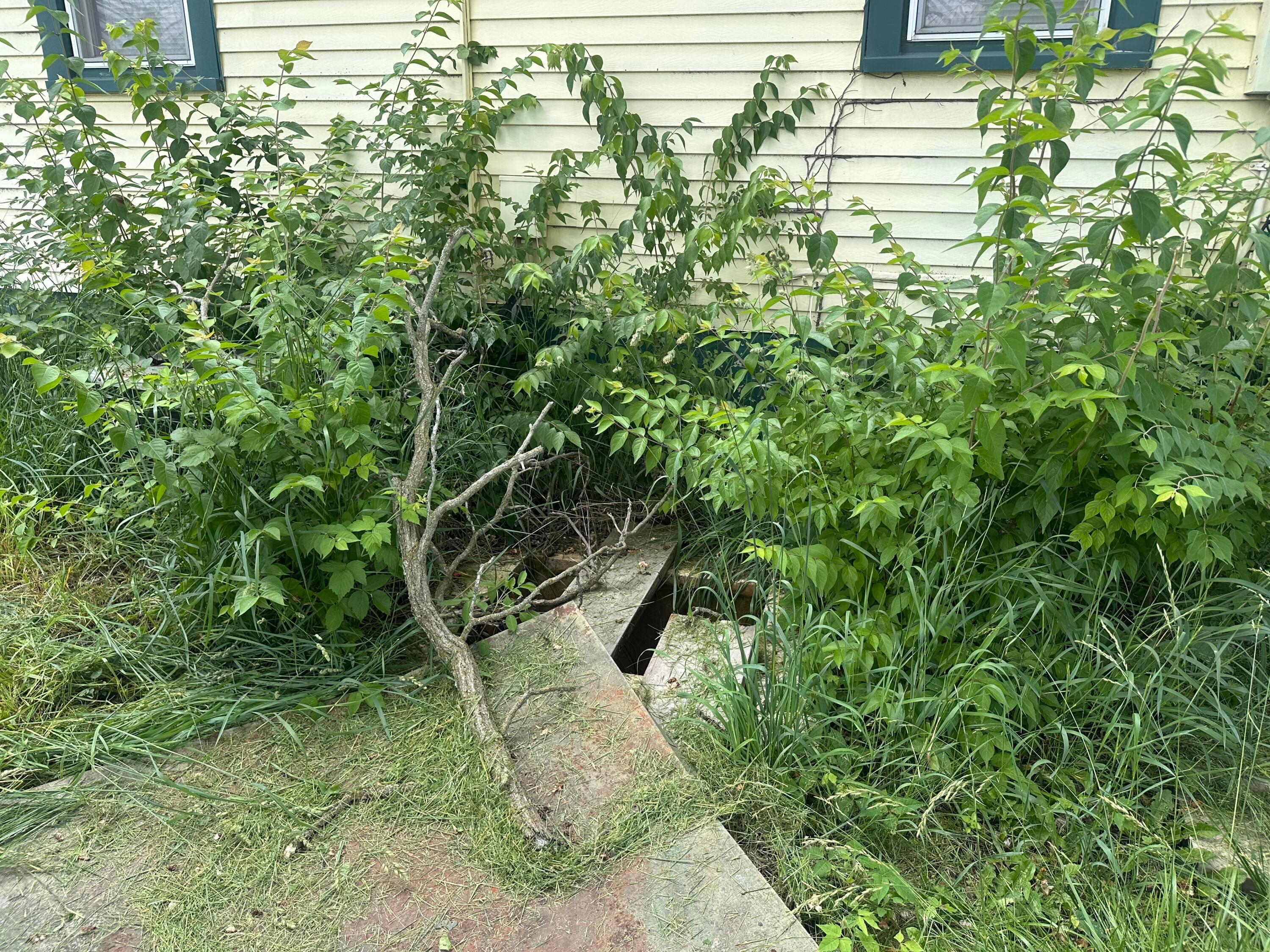7365 Hayden Run Road Property Photo 11