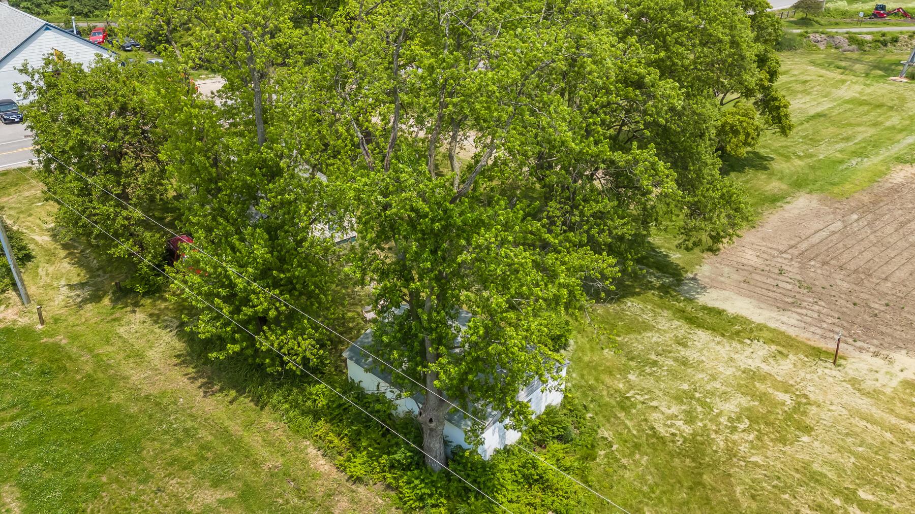 7365 Hayden Run Road Property Photo 42