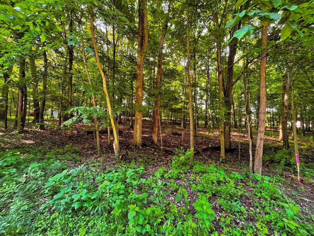 399 Valleyridge Drive Property Photo 1