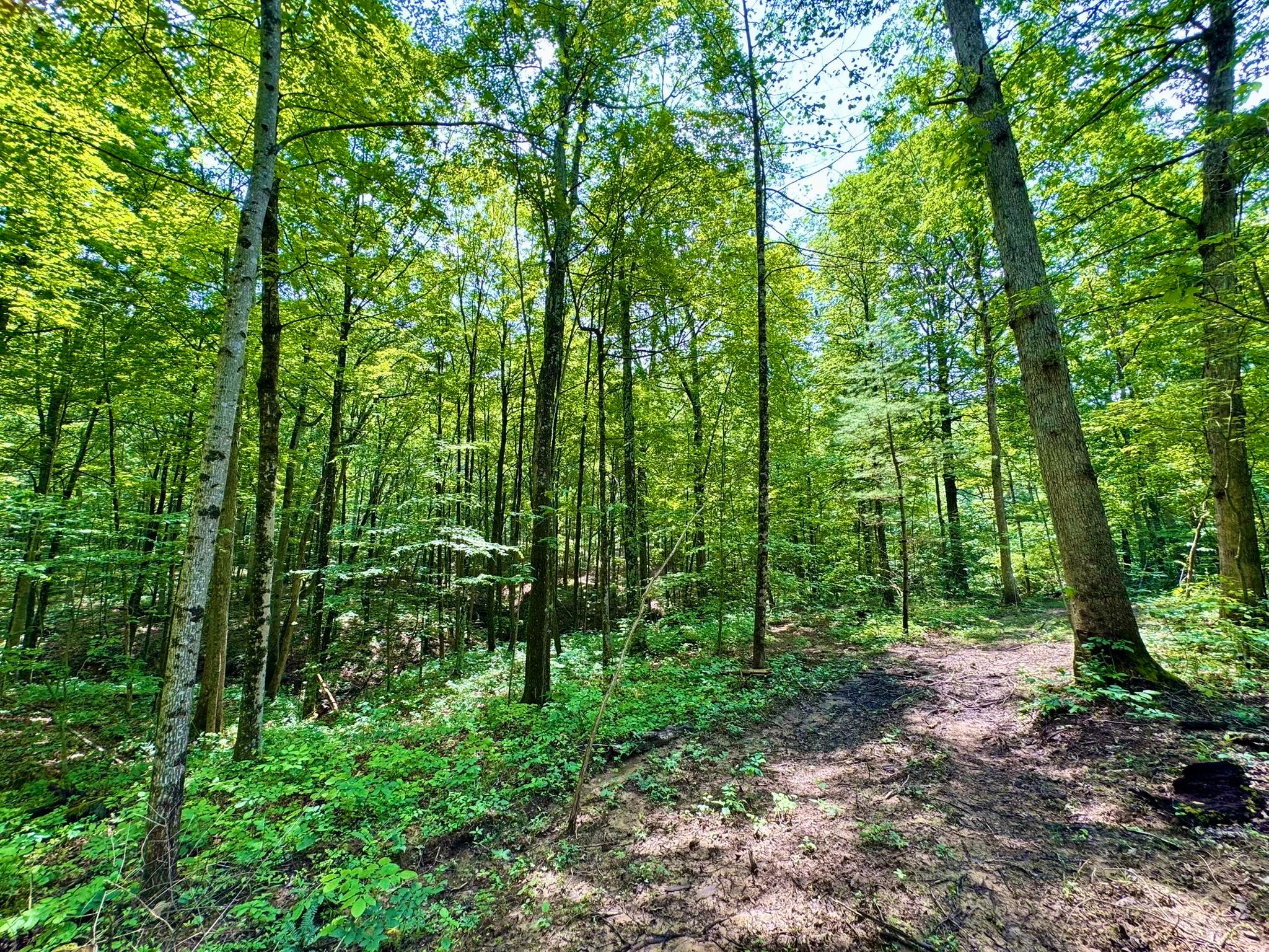 0 Township Road 318 Se Property Photo 1