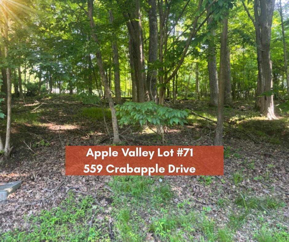 559 Crabapple Drive