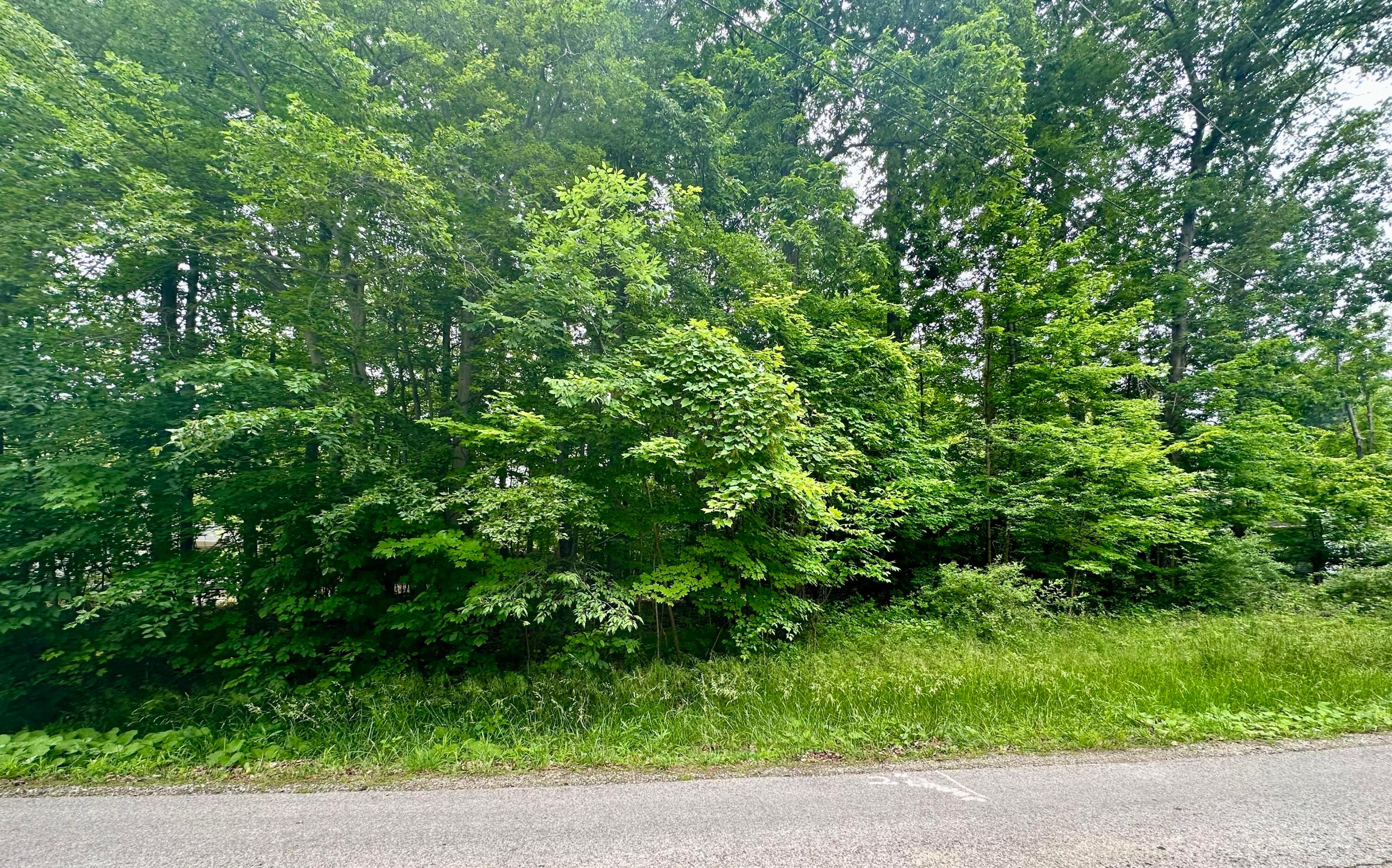 7326 St. Rt. 19 Unit 10 Lot 46&47 Property Photo