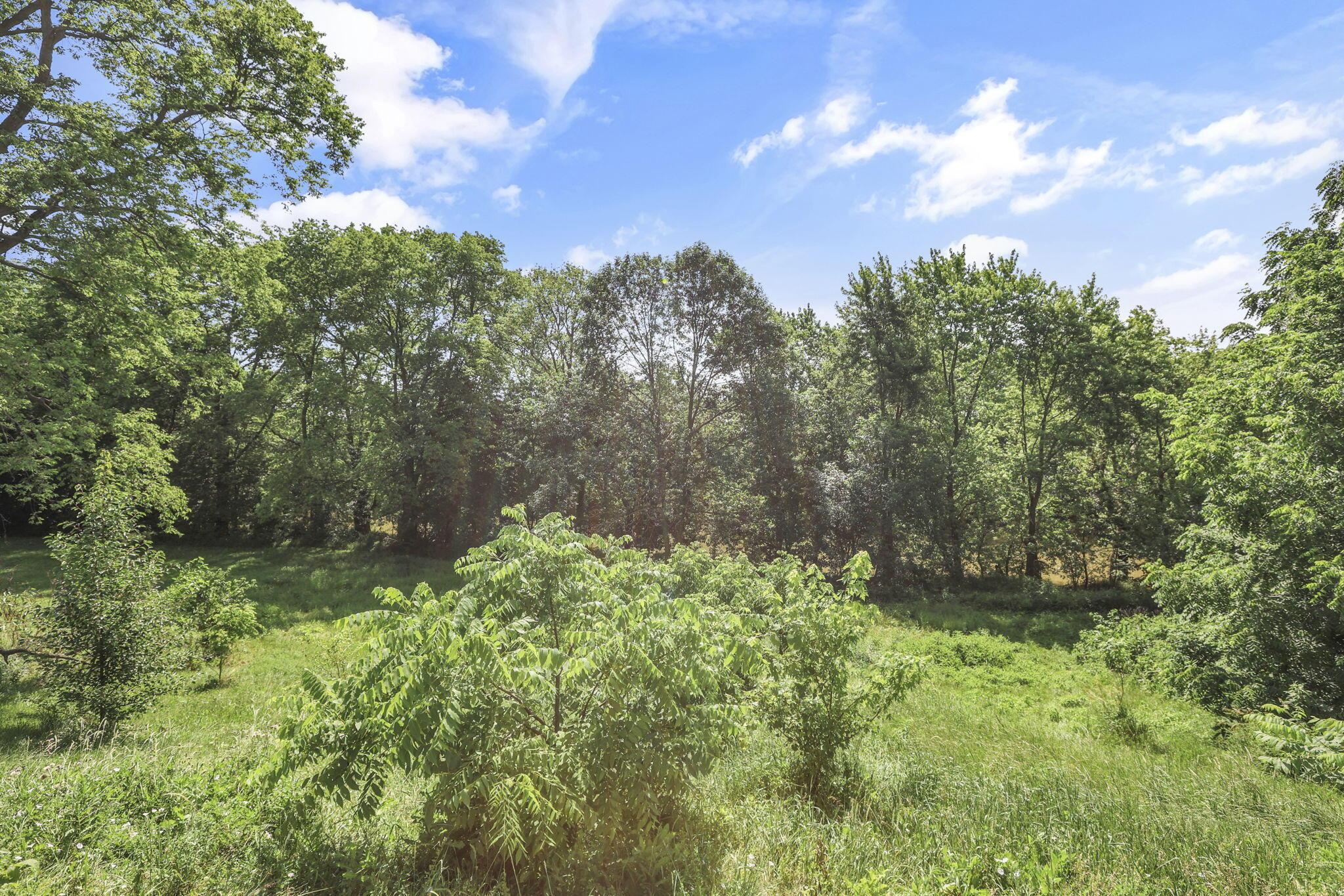 7688 State Route 257 Property Photo 49
