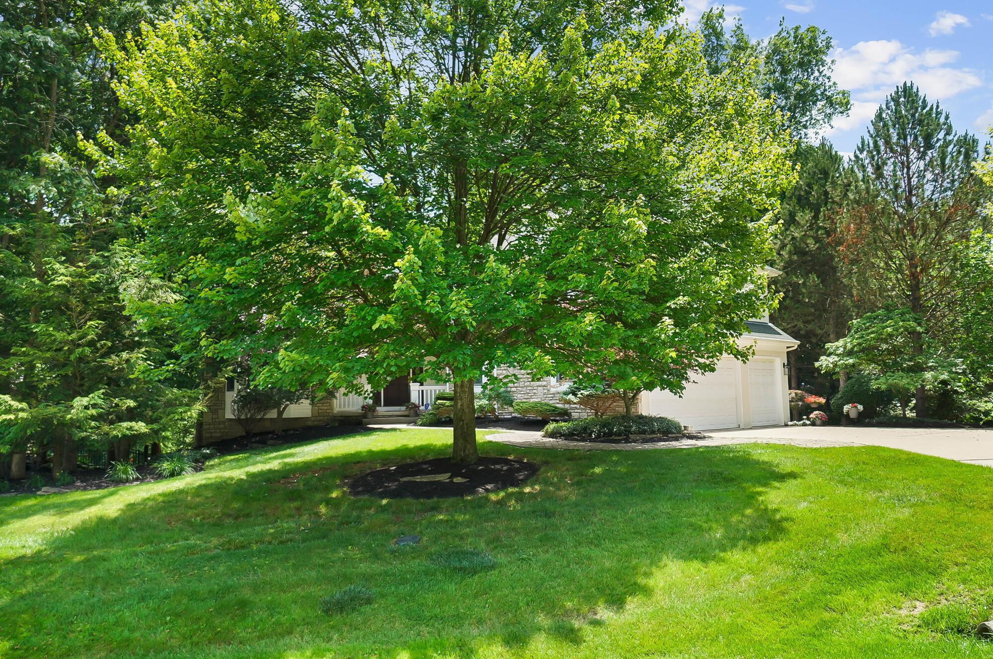 1451 Brittingham Lane Property Photo 7
