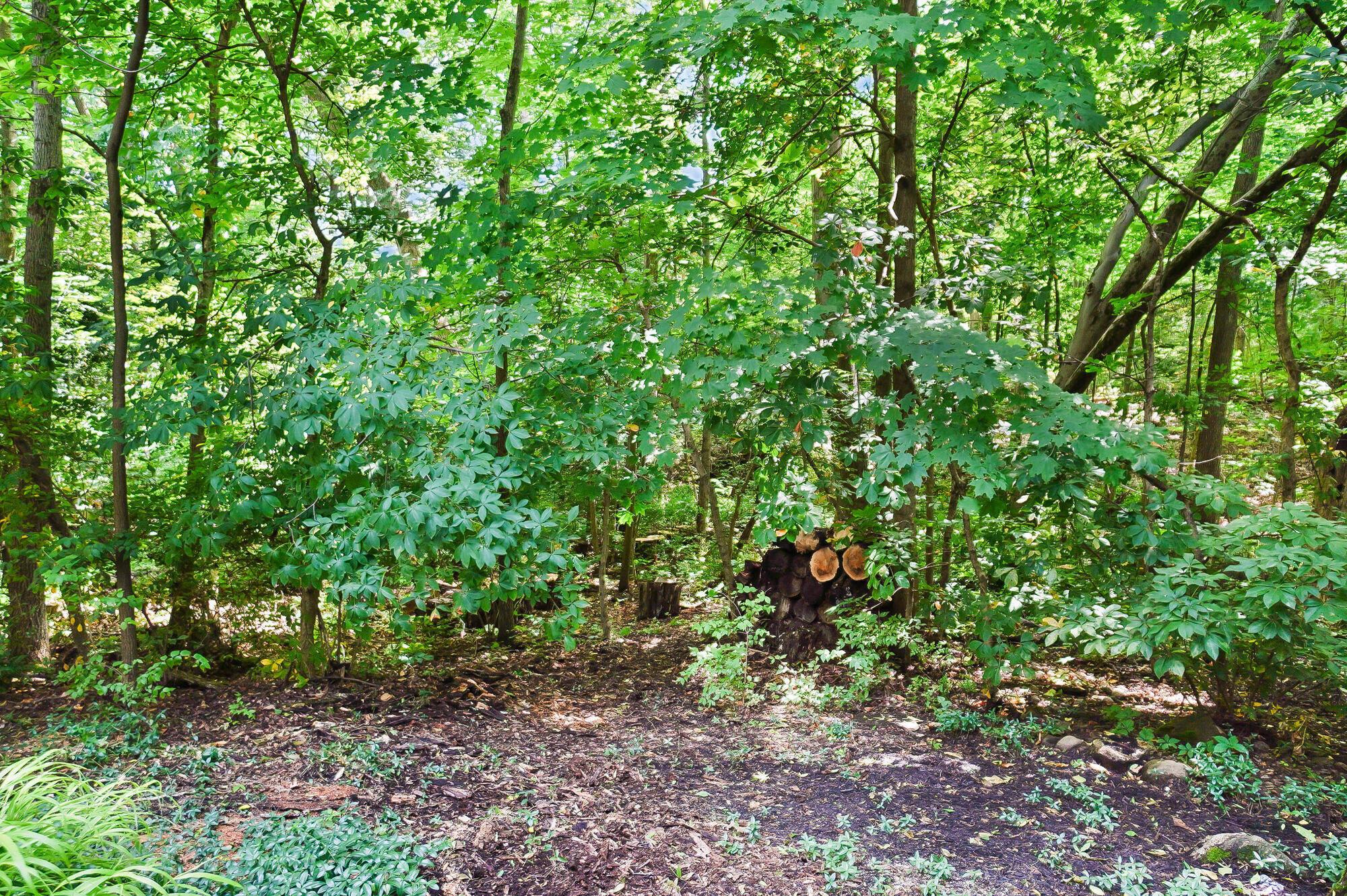 1451 Brittingham Lane Property Photo 125