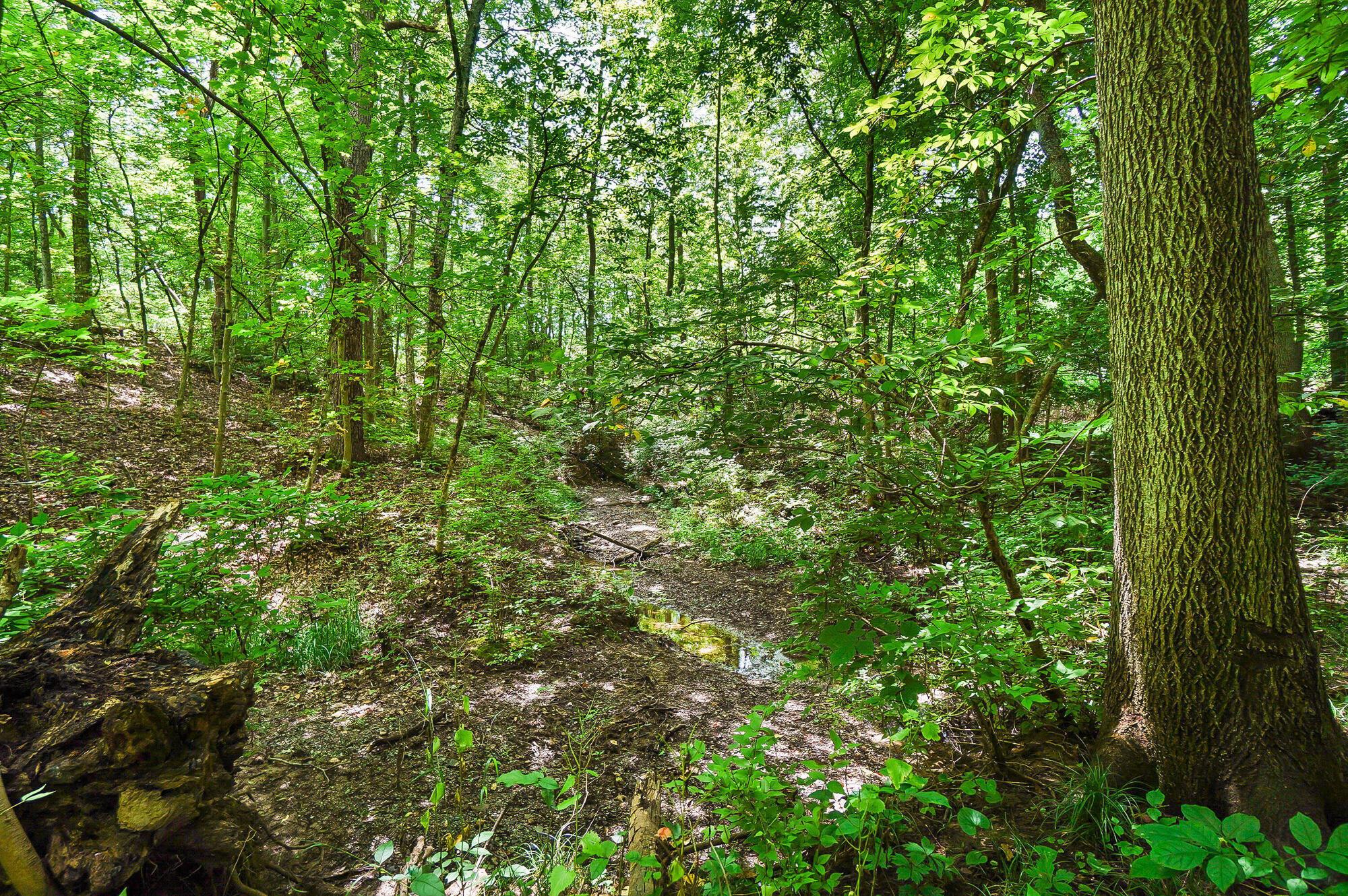 1451 Brittingham Lane Property Photo 126