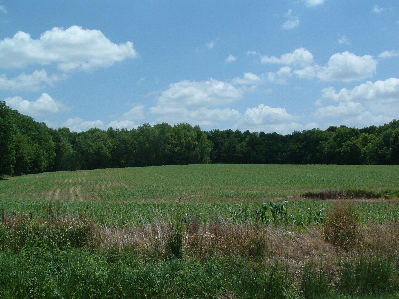 0 Clover Valley Road Nw Property Photo