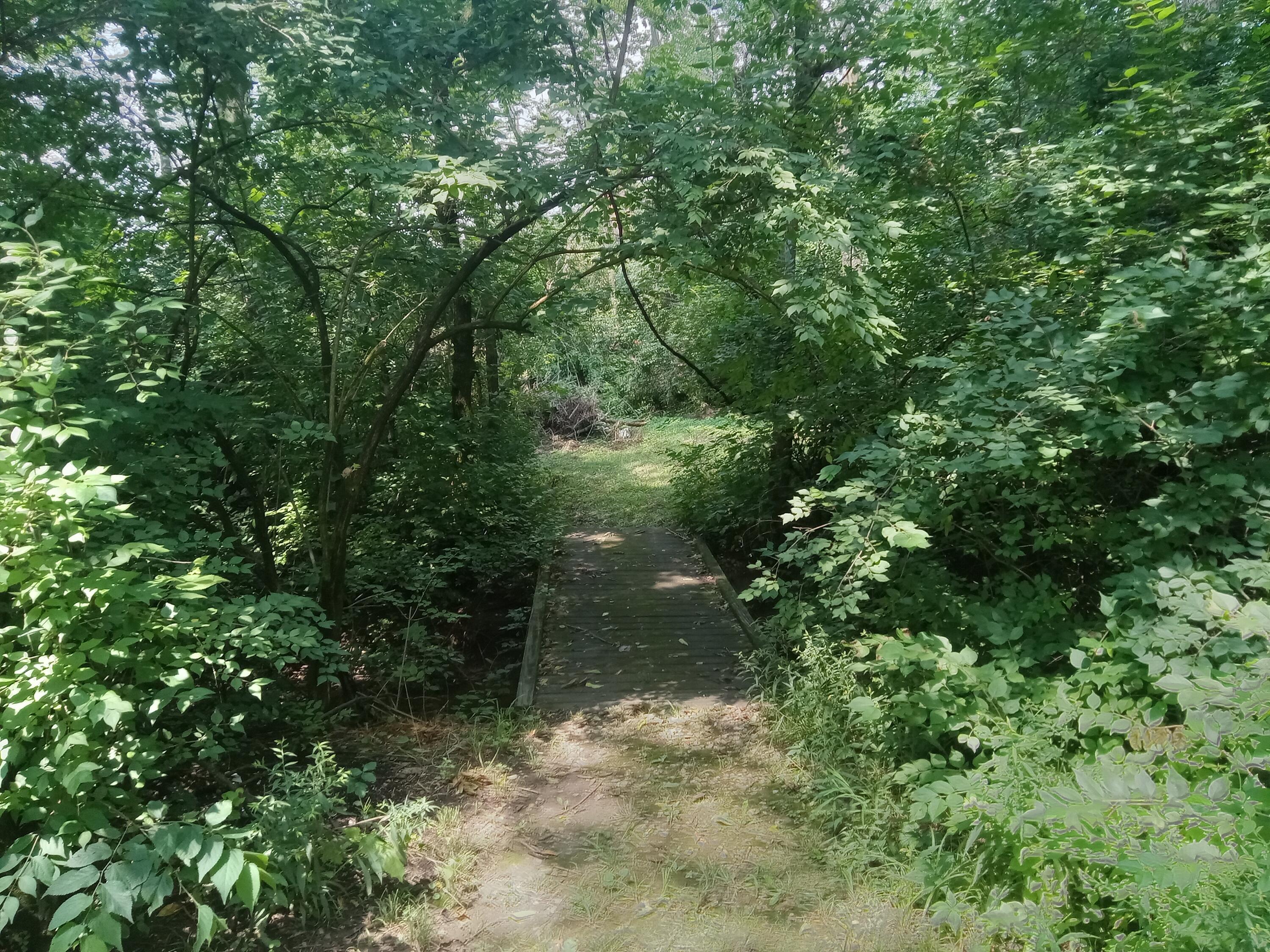6978 Cook-jones Road Property Photo 33