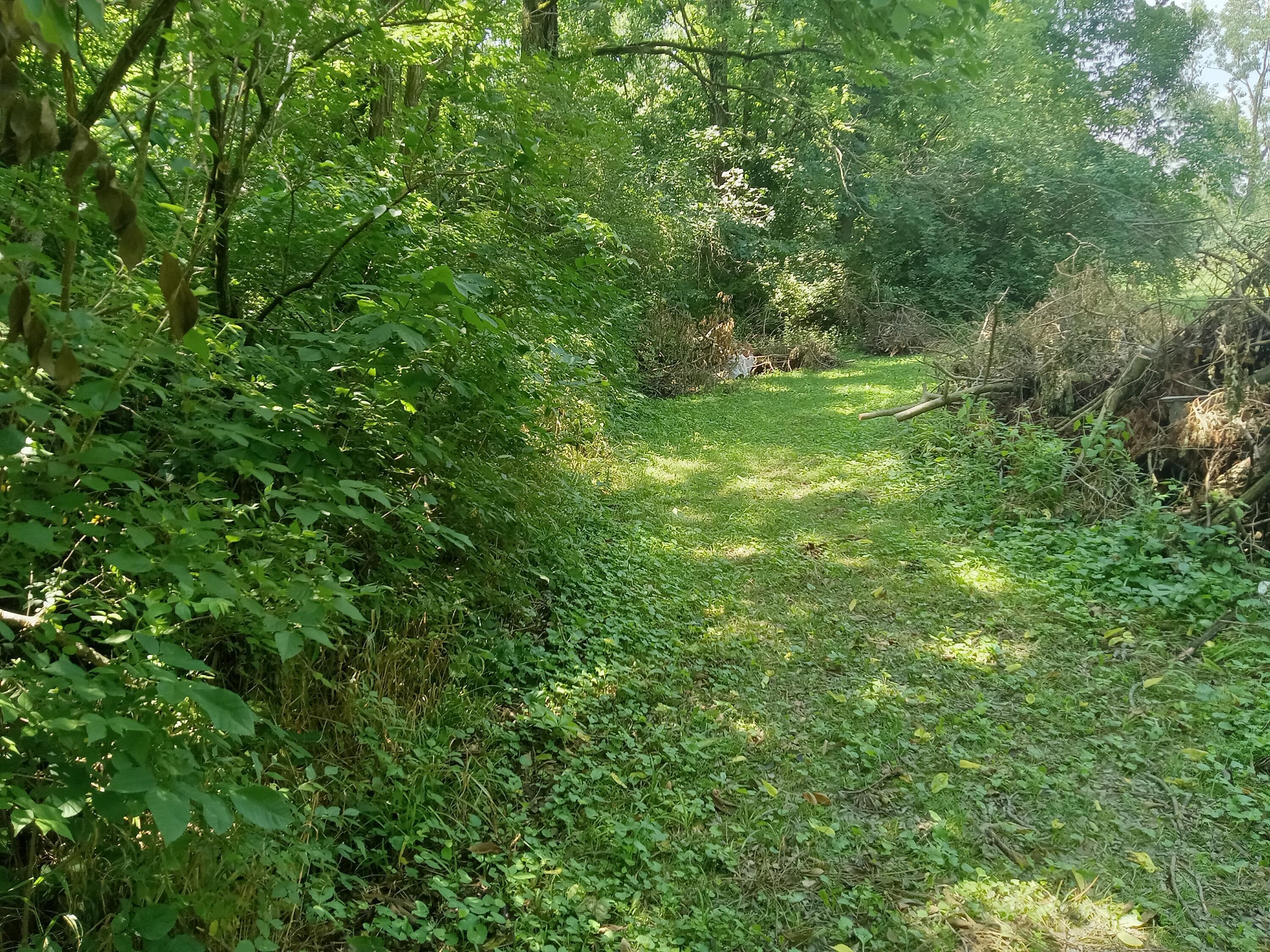 6978 Cook-jones Road Property Photo 35