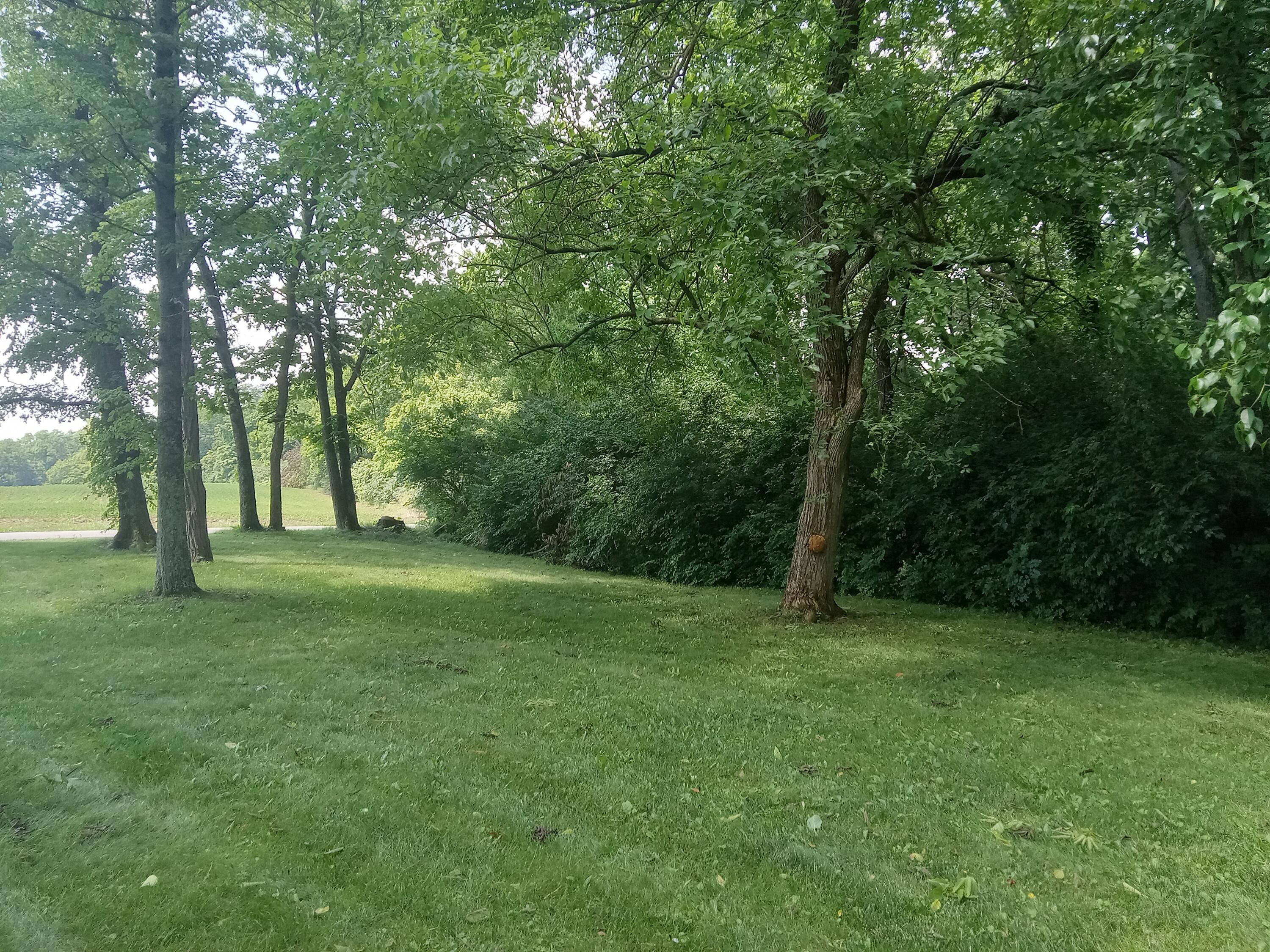 6978 Cook-jones Road Property Photo 36