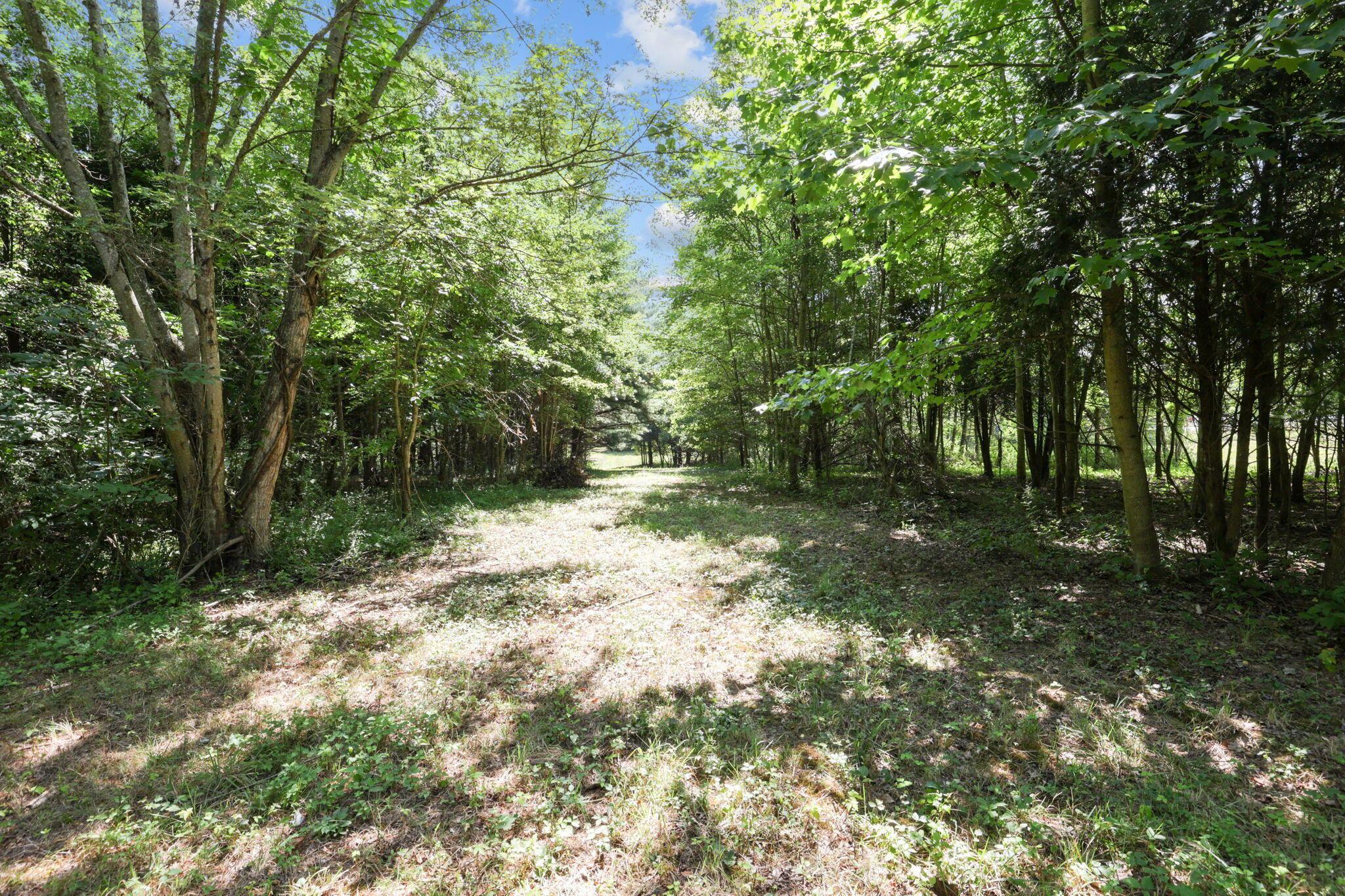 27326 Darl Road Property Photo 37