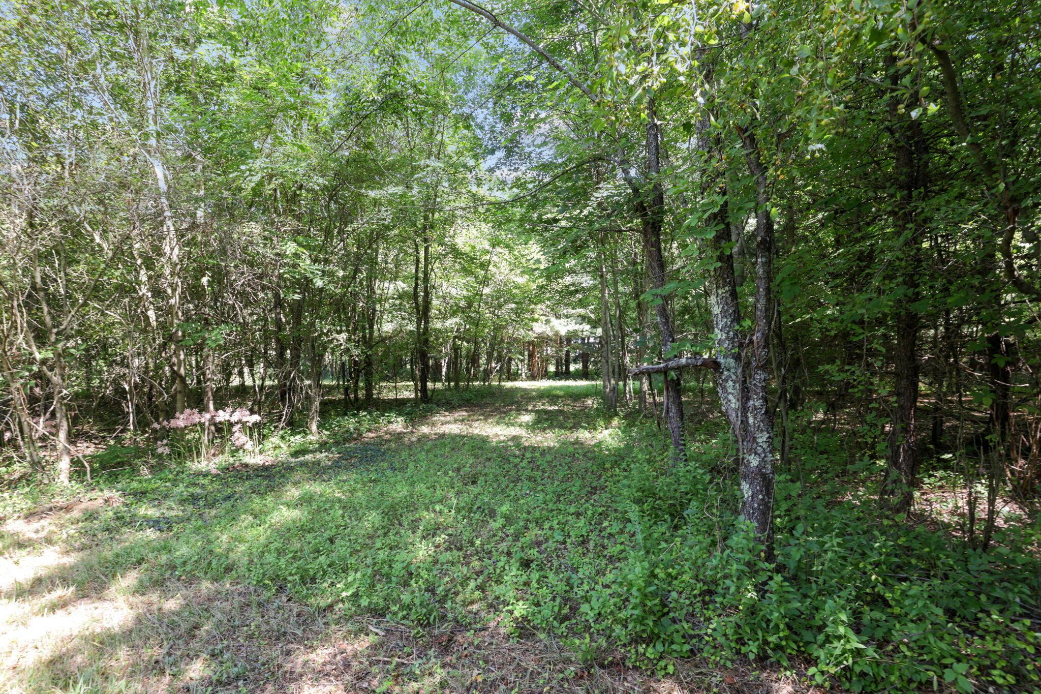 27326 Darl Road Property Photo 41
