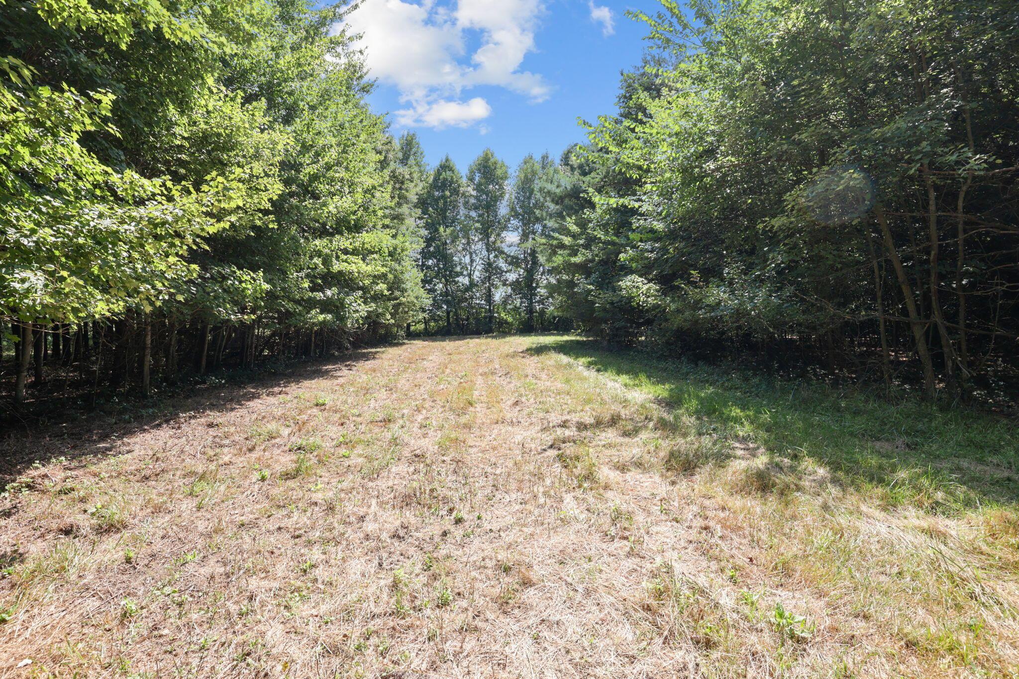27326 Darl Road Property Photo 43